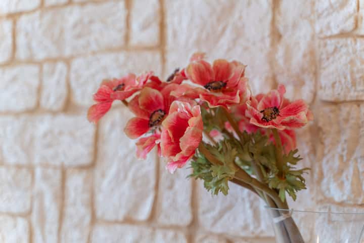 Appartamento F27 – Vacanze Ad Alghero - Alghero