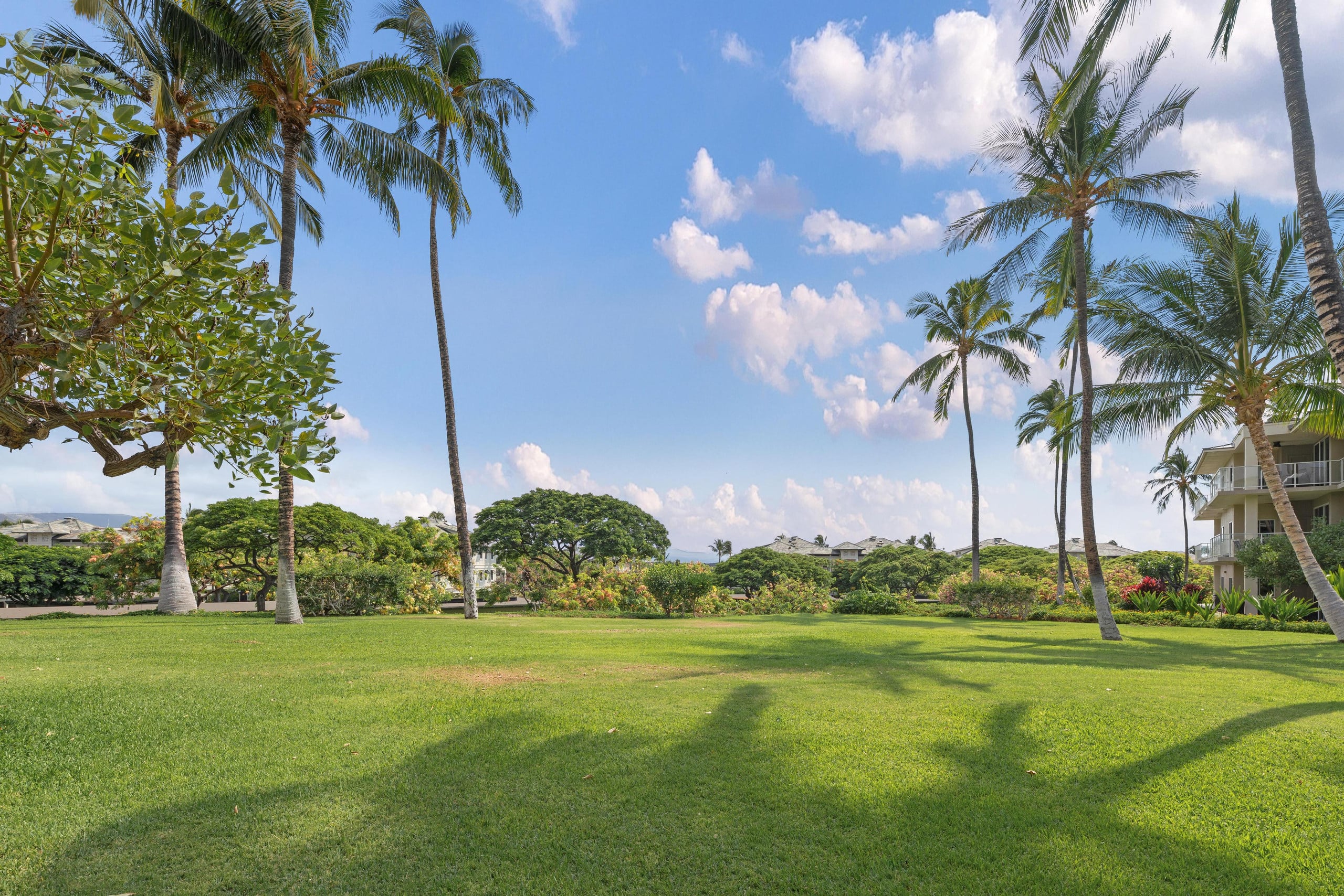 Stunning Remodel in 2025 E104 Vista Waikoloa - Photo 49