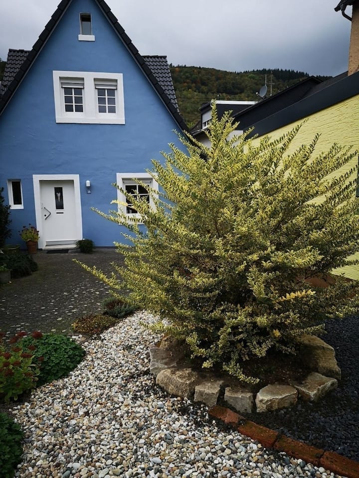 Das Blaue Haus (297834) - Bernkastel-Kues