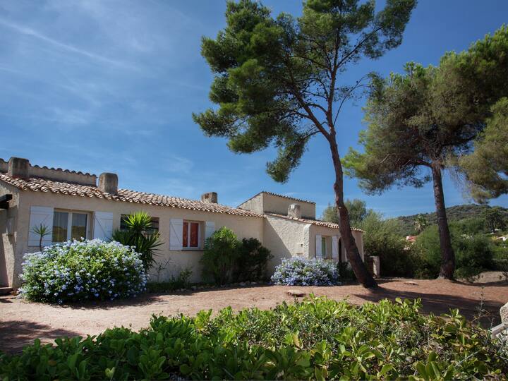 Le Bonheur Au Bord De La Plage à Cargèse - Cargese