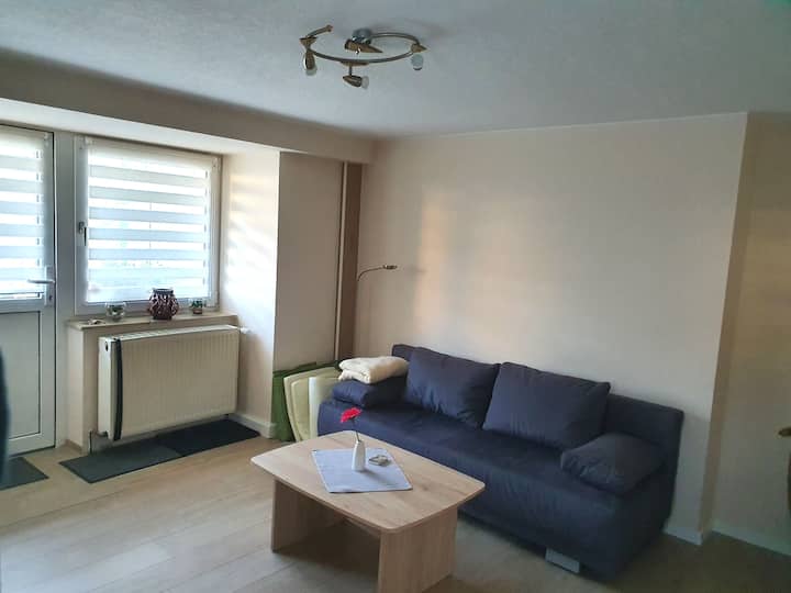 Séjour Au Bord De La Rivière Freital - Freital