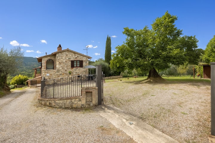 Oliveto Del Cantarello - Chiusi