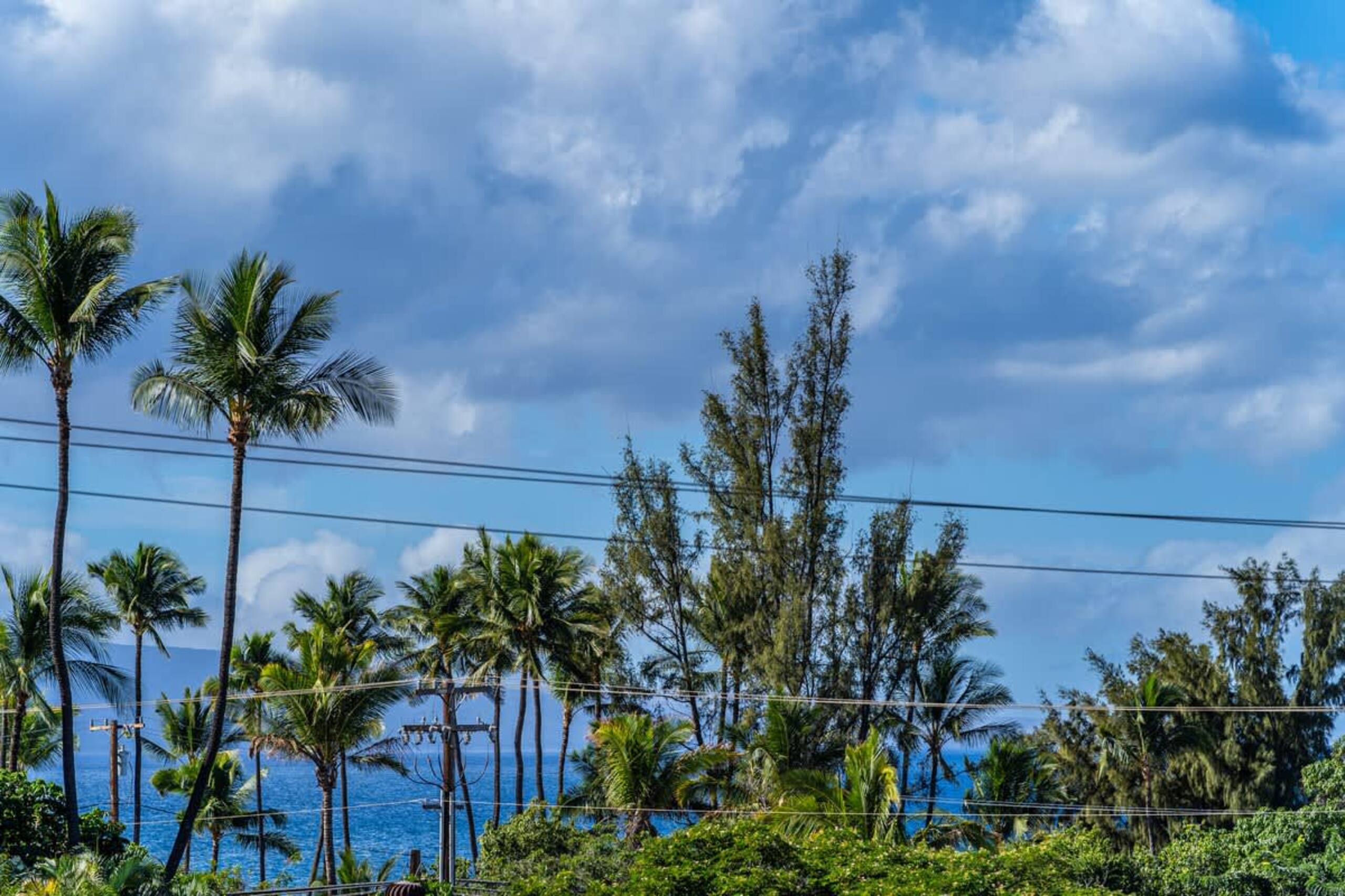 Condo in Kihei · ★4.5 · 1 bedroom · 2 beds · 1 bath - Image 23