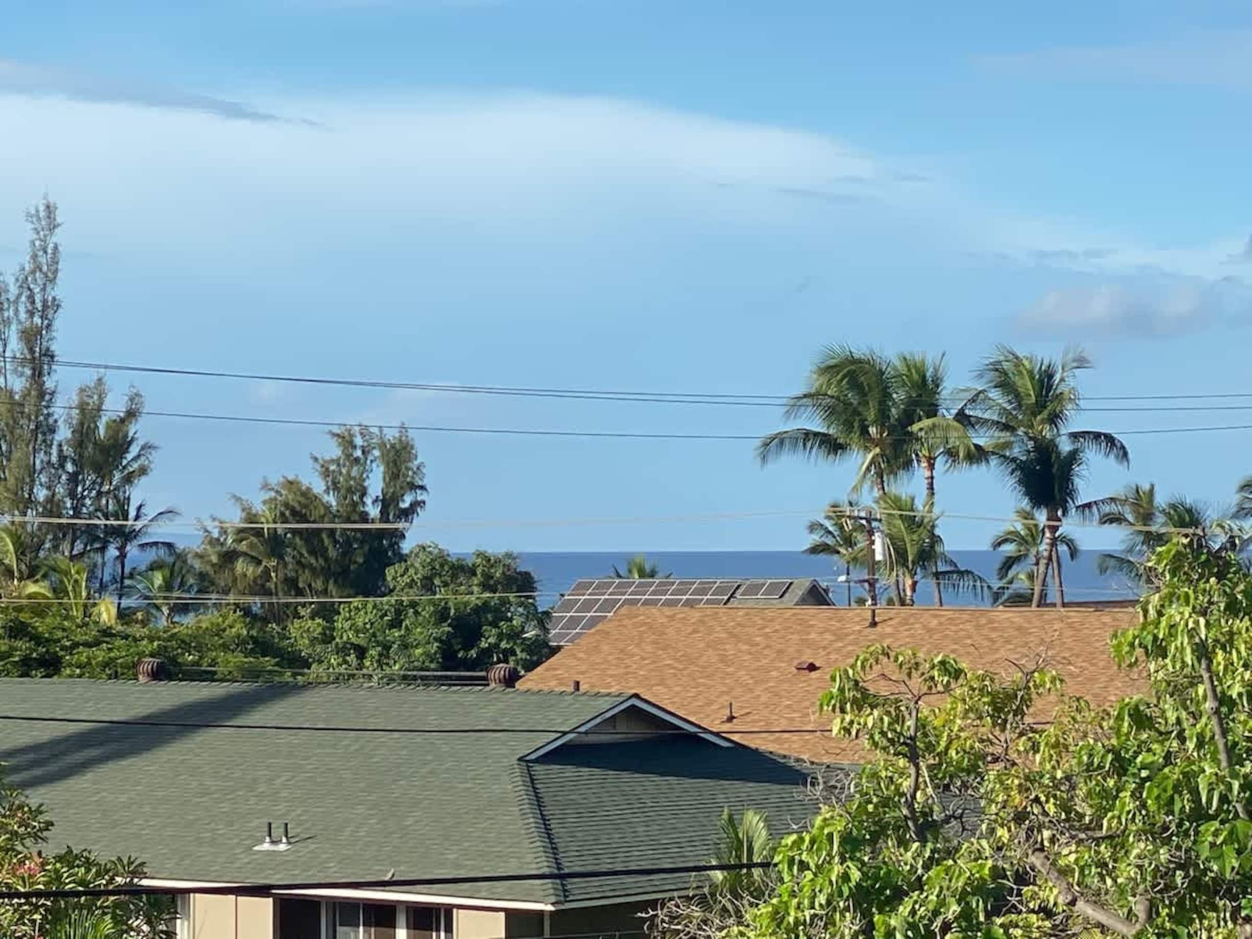 Condo in Kihei · ★4.5 · 1 bedroom · 2 beds · 1 bath - Image 24