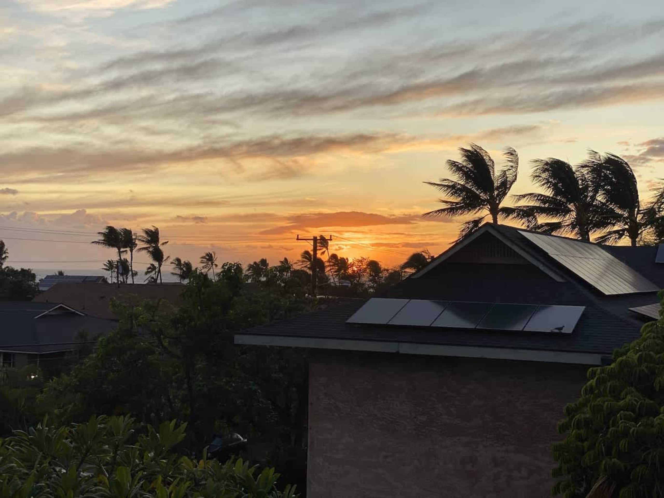 Condo in Kihei · ★4.5 · 1 bedroom · 2 beds · 1 bath - Image 25