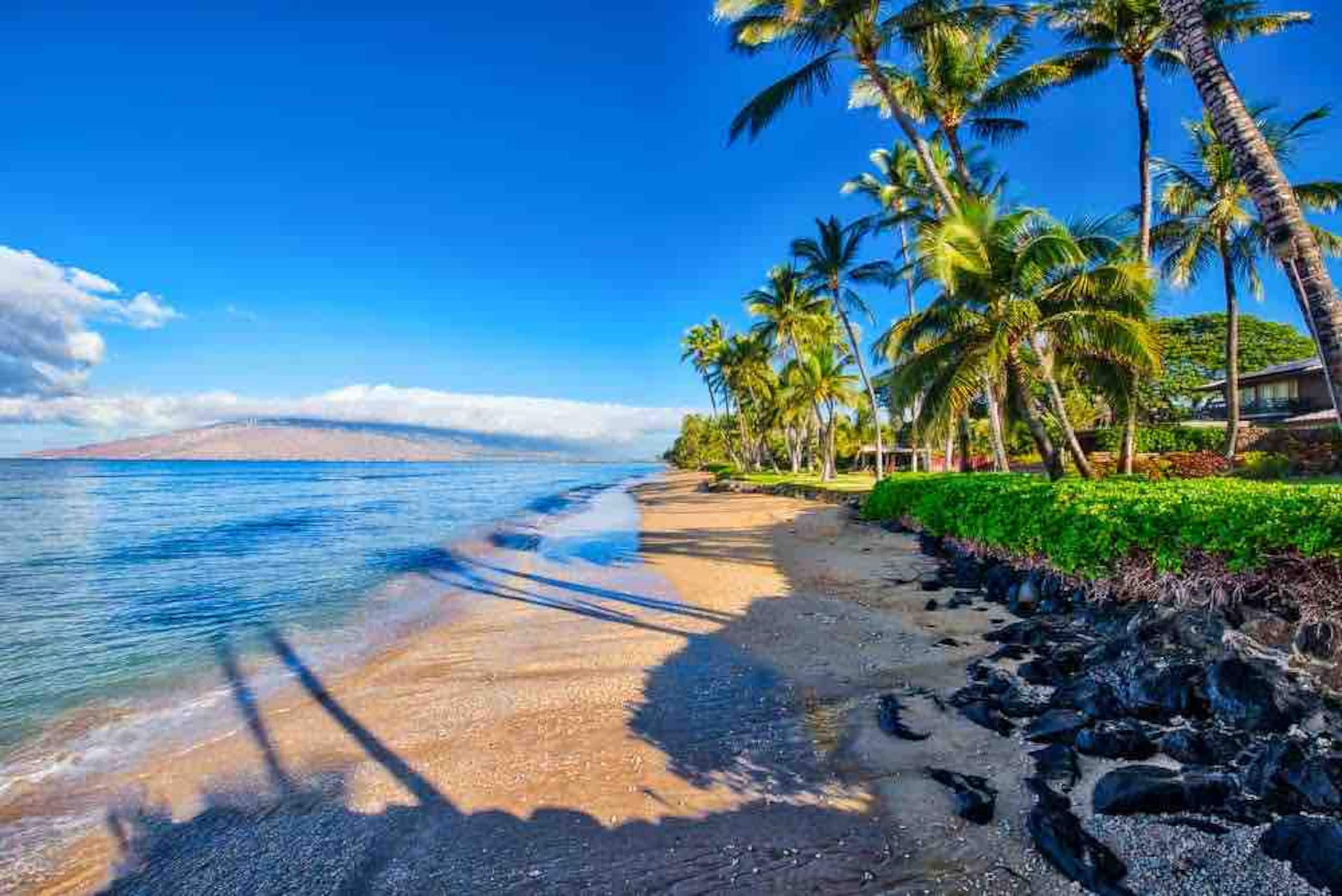 Condo in Kihei · ★4.5 · 1 bedroom · 2 beds · 1 bath - Image 29
