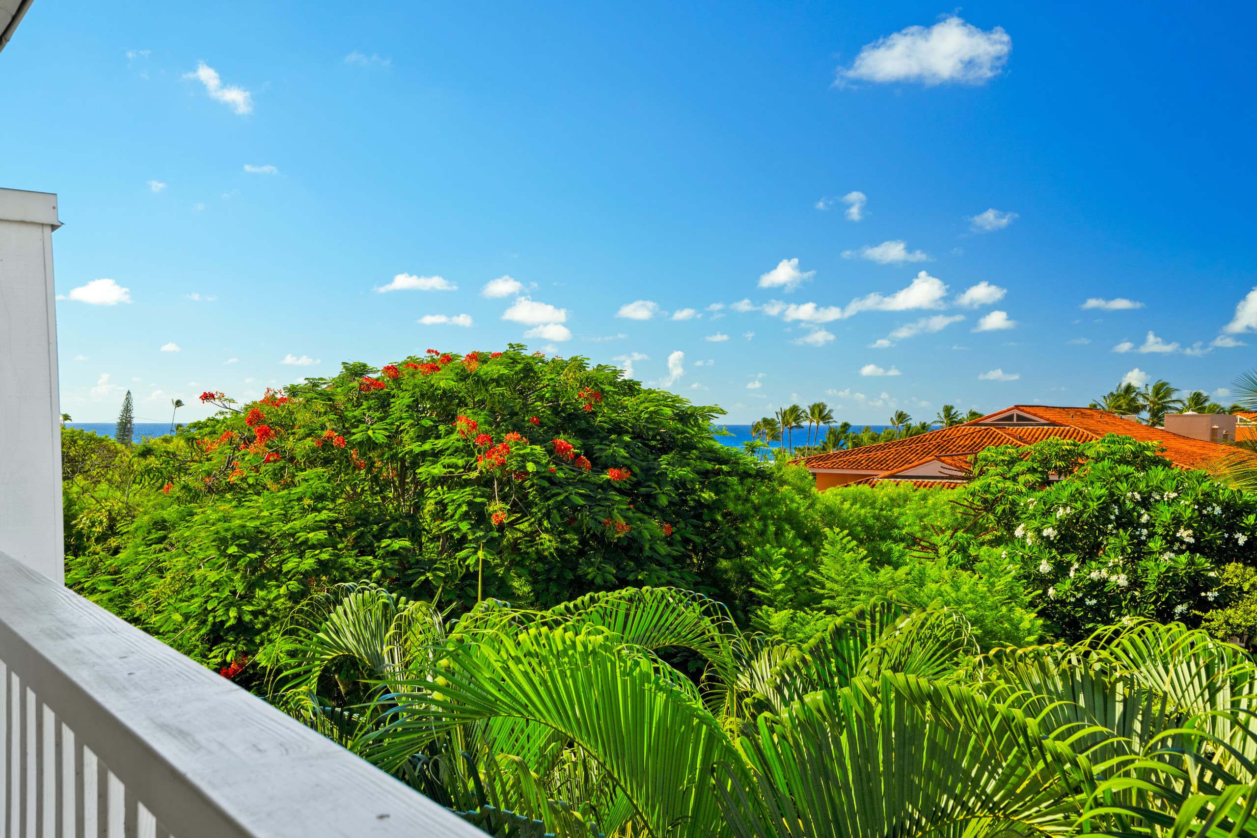 Condo in Koloa · ★4.75 · 1 bedroom · 2 beds · 1 bath - Image 8