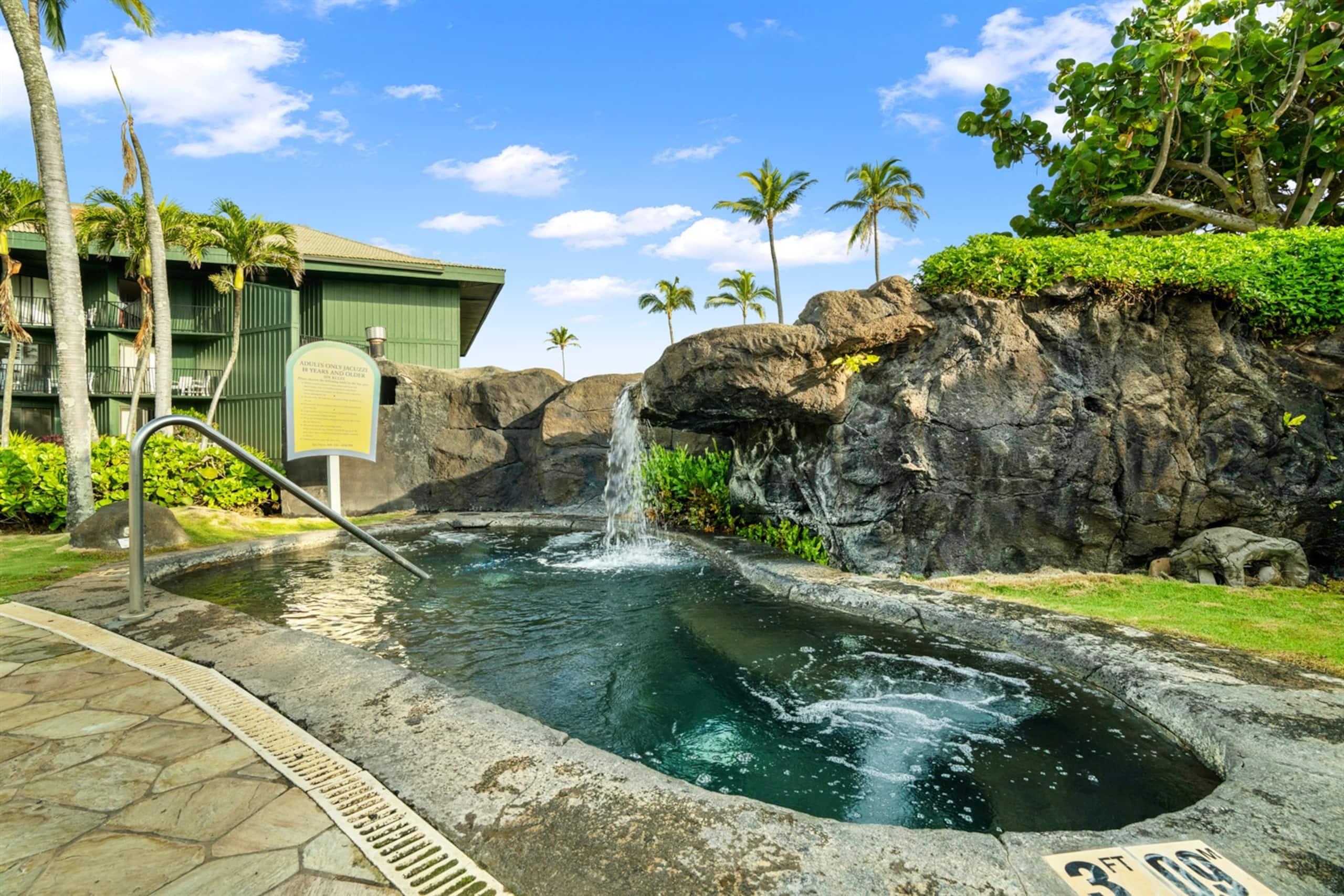 Condo in Lihue · ★4.53 · 1 bedroom · 1 bed · 1 bath - Image 20