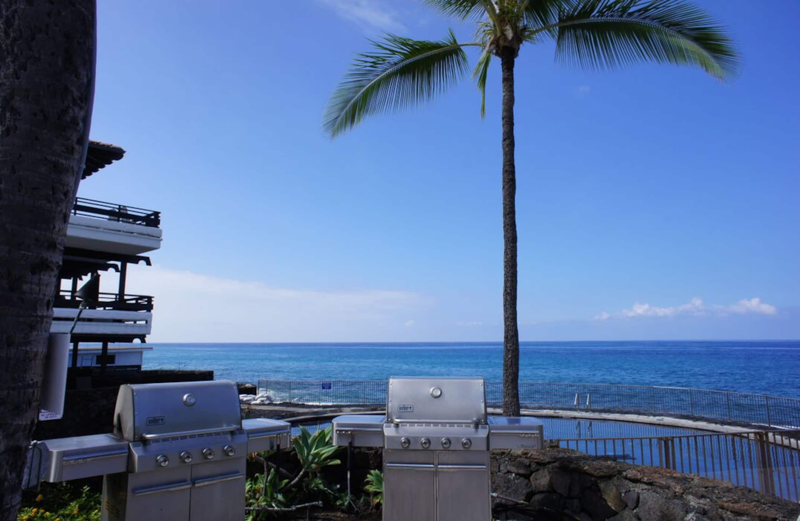 Condo in Kailua-Kona · ★4.89 · 1 bedroom · 2 beds · 1 private bath - Image 35