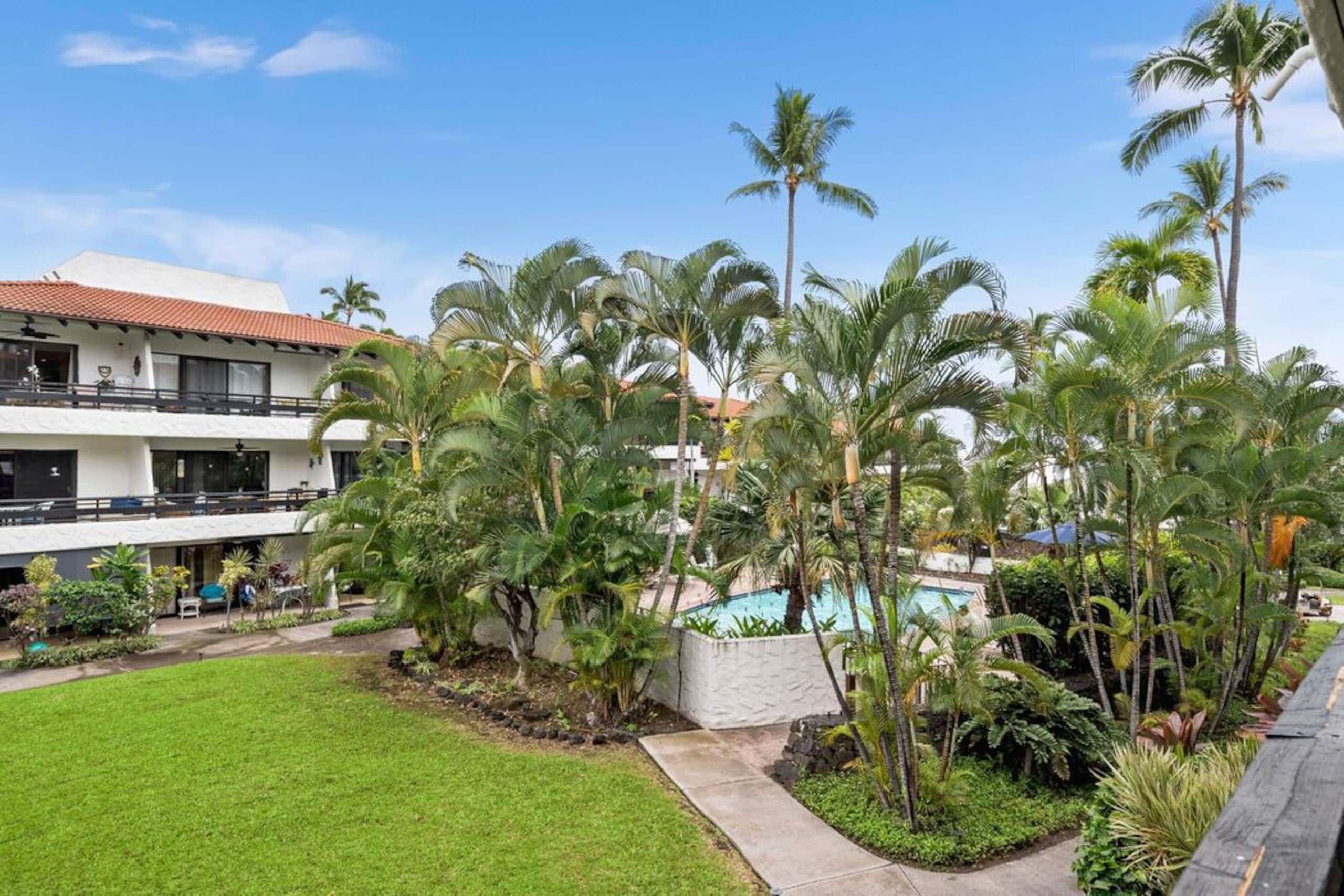 Condo in Kailua-Kona · ★4.89 · 1 bedroom · 2 beds · 1 private bath - Image 7