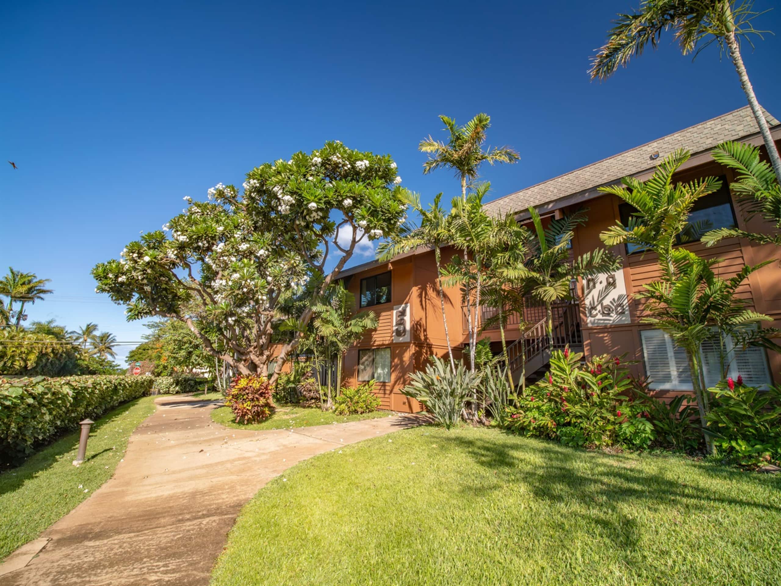 Condo in Kihei · ★4.95 · 2 bedrooms · 3 beds · 2 baths - Image 26