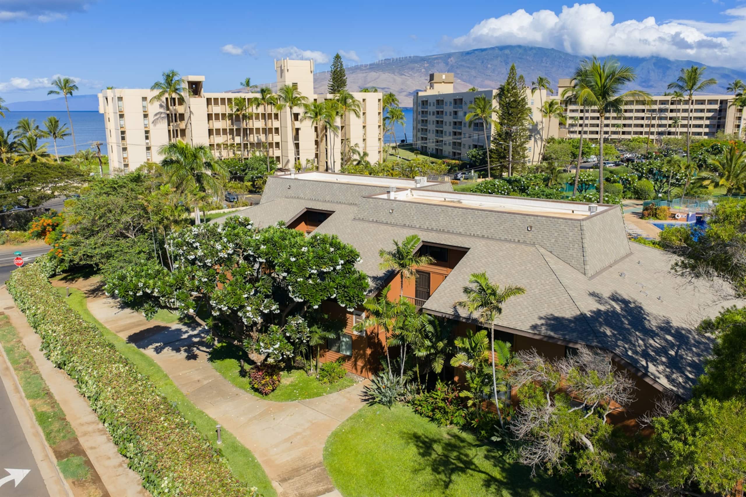 Condo in Kihei · ★4.95 · 2 bedrooms · 3 beds · 2 baths - Image 38