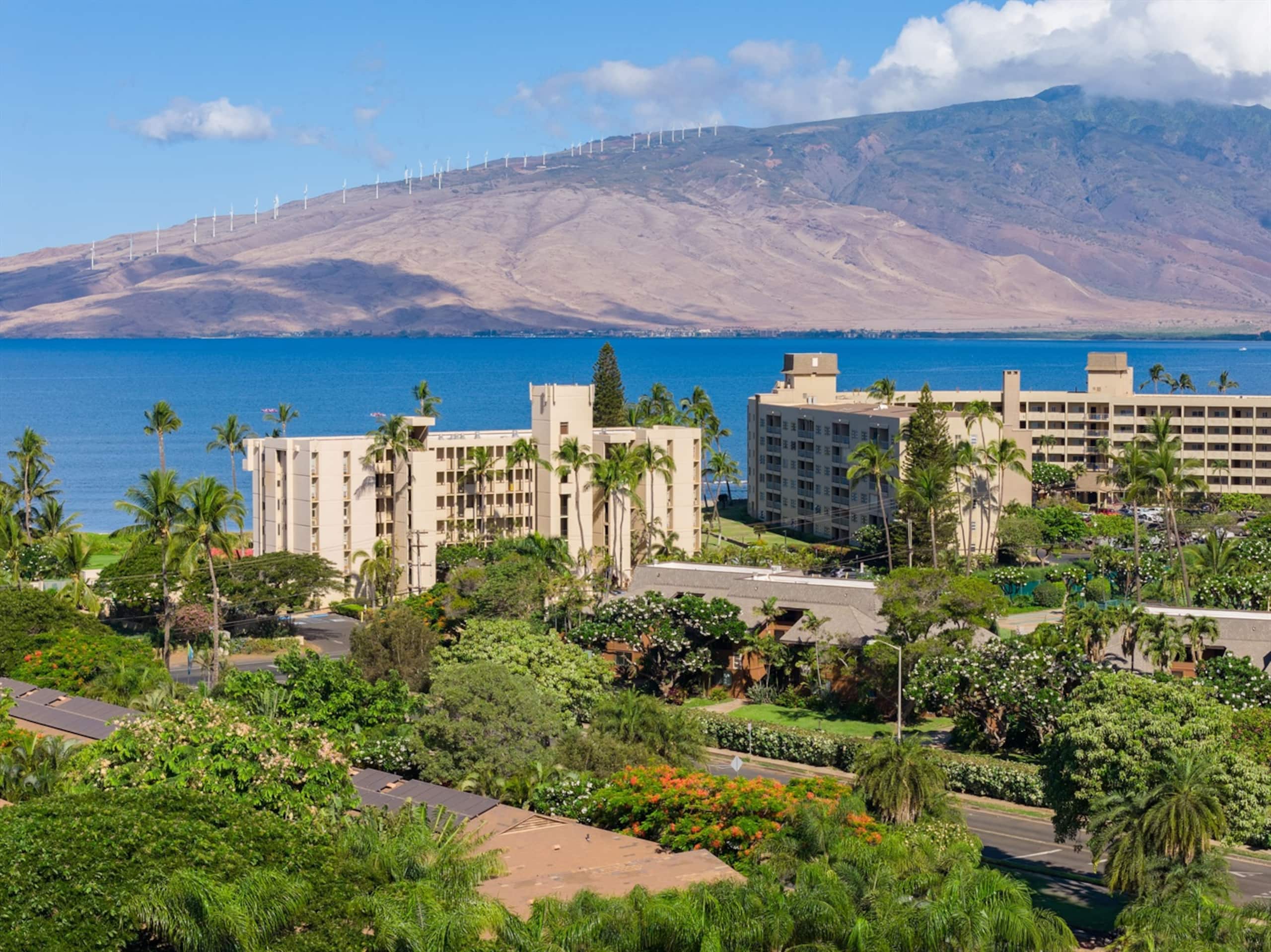 Condo in Kihei · ★4.95 · 2 bedrooms · 3 beds · 2 baths - Image 54