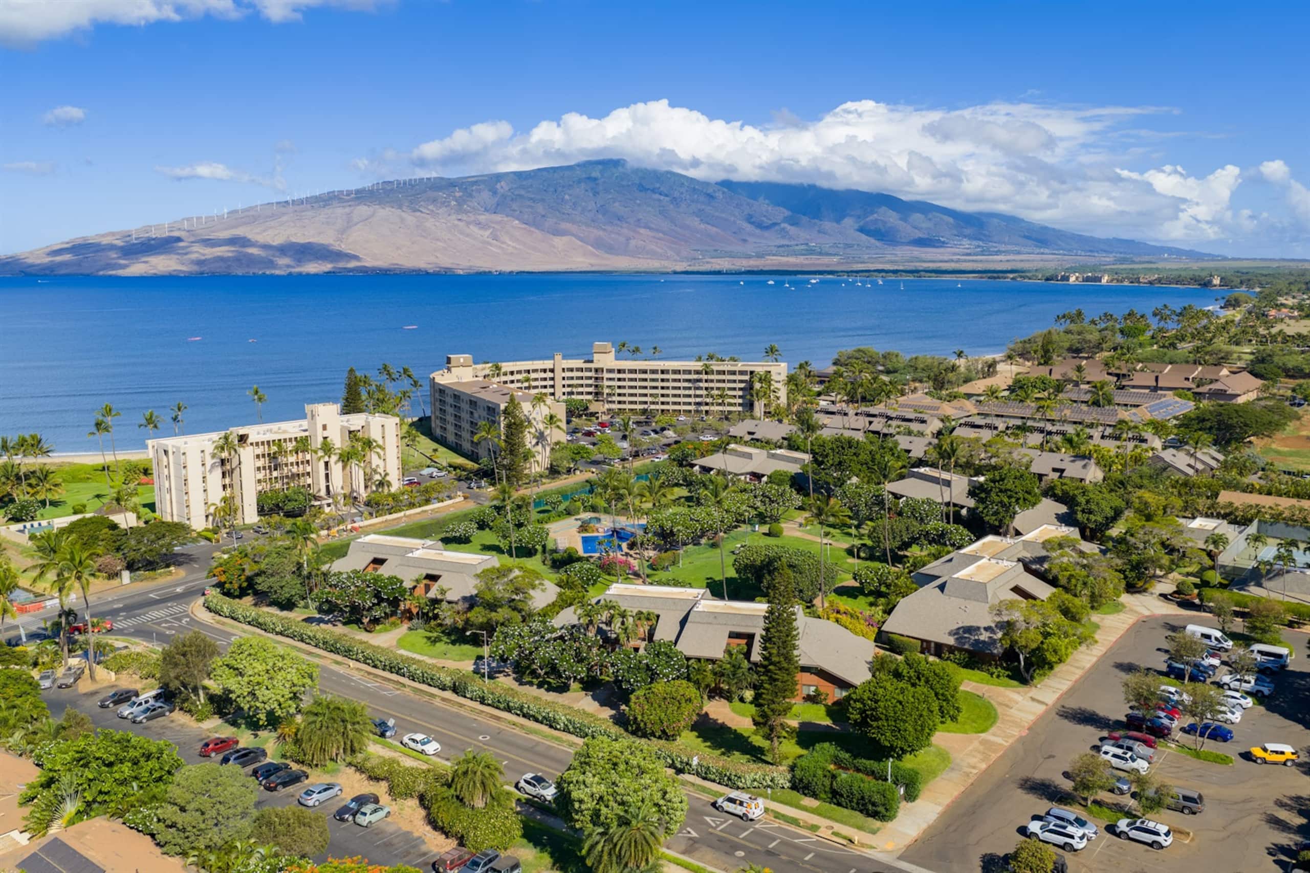 Condo in Kihei · ★4.95 · 2 bedrooms · 3 beds · 2 baths - Image 55