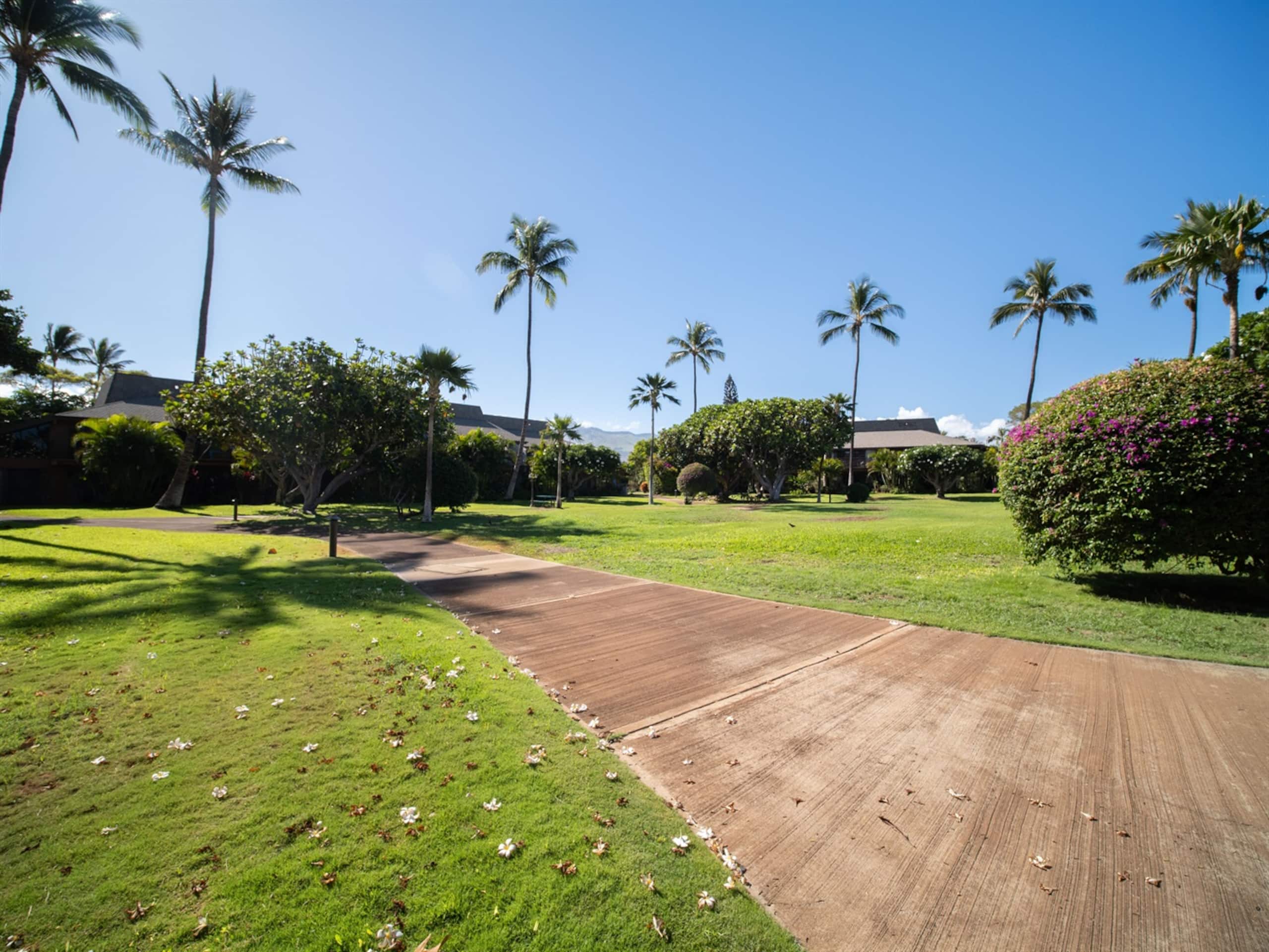 Condo in Kihei · ★4.95 · 2 bedrooms · 3 beds · 2 baths - Image 46