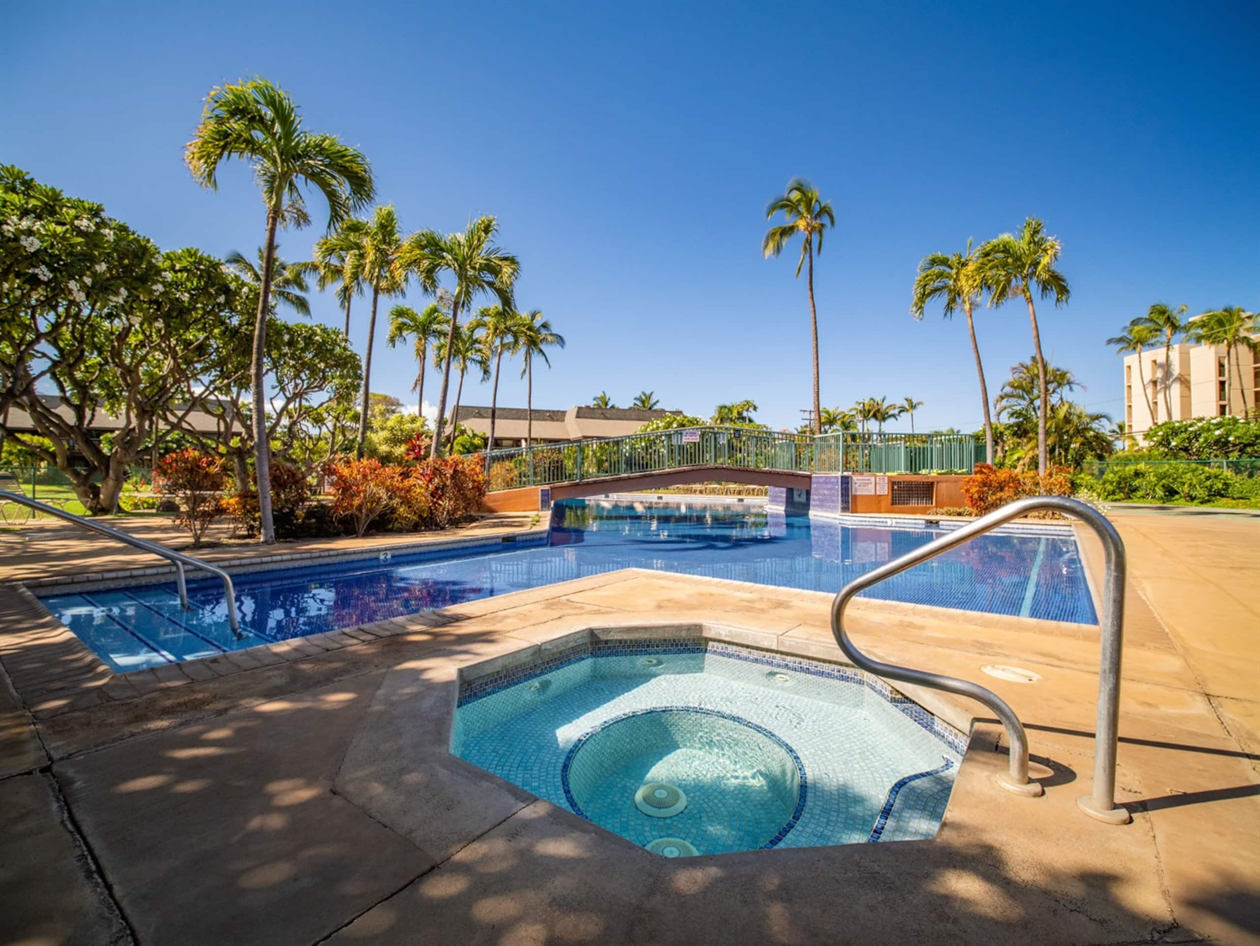 Condo in Kihei · ★4.95 · 2 bedrooms · 3 beds · 2 baths - Image 63