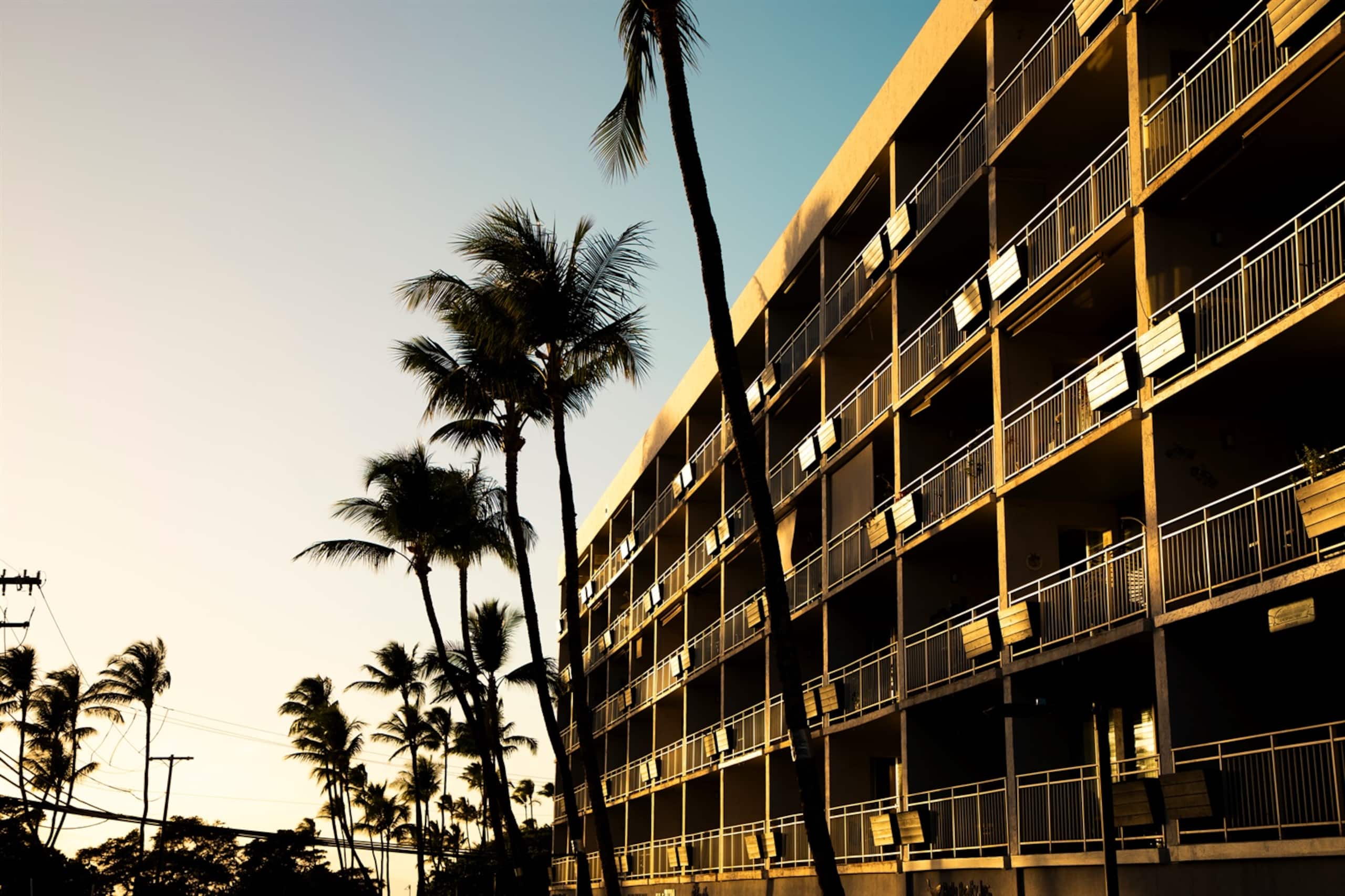 Oceanview Penthouse: Peaceful Upscale Escape, View - Image 70