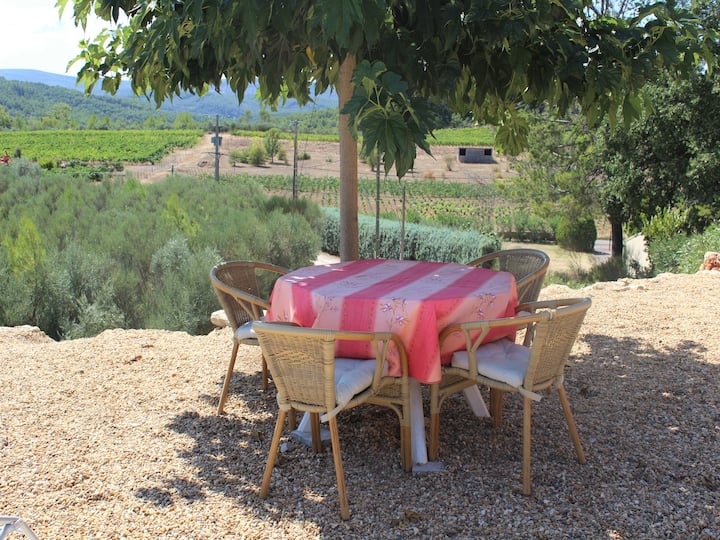 Villa En Provence Avec Piscine Et Vignes - Lorgues