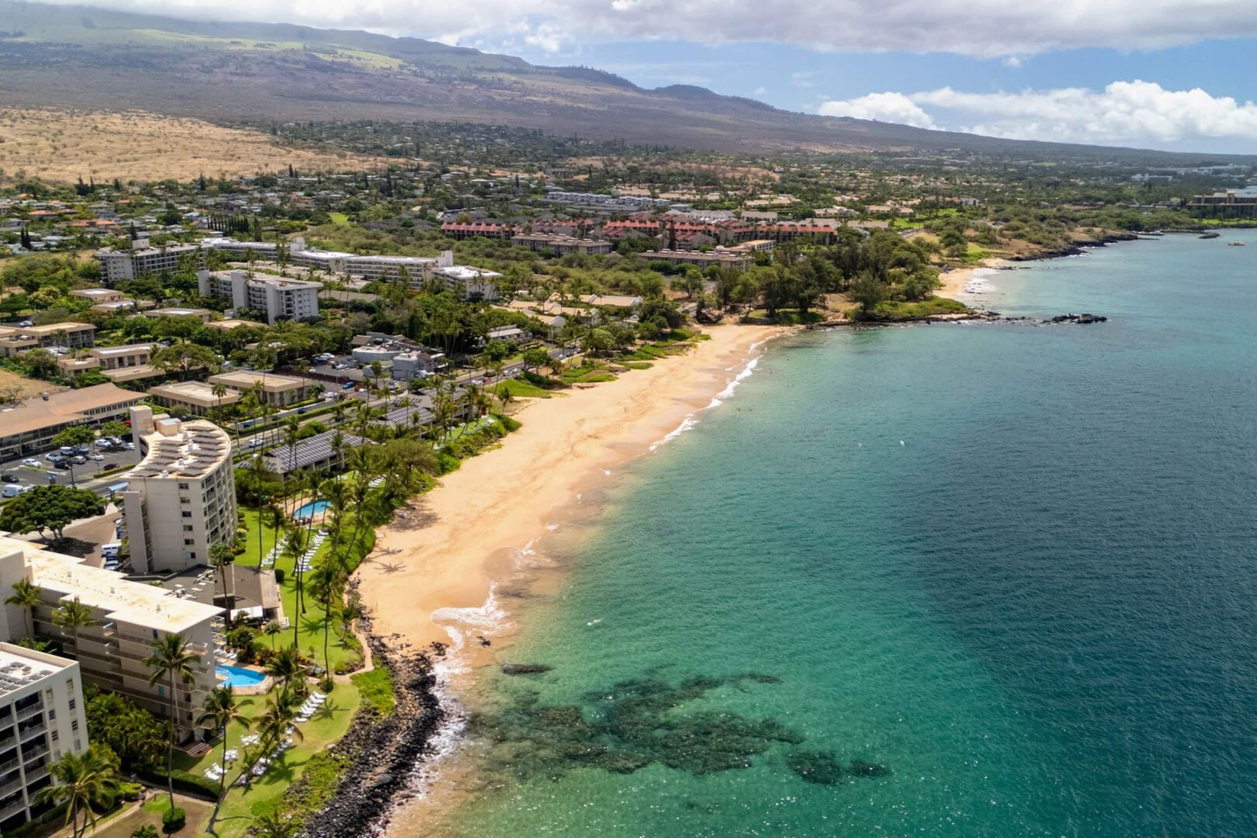 Condo in Kihei · ★4.87 · 2 bedrooms · 4 beds · 2 baths - Image 53