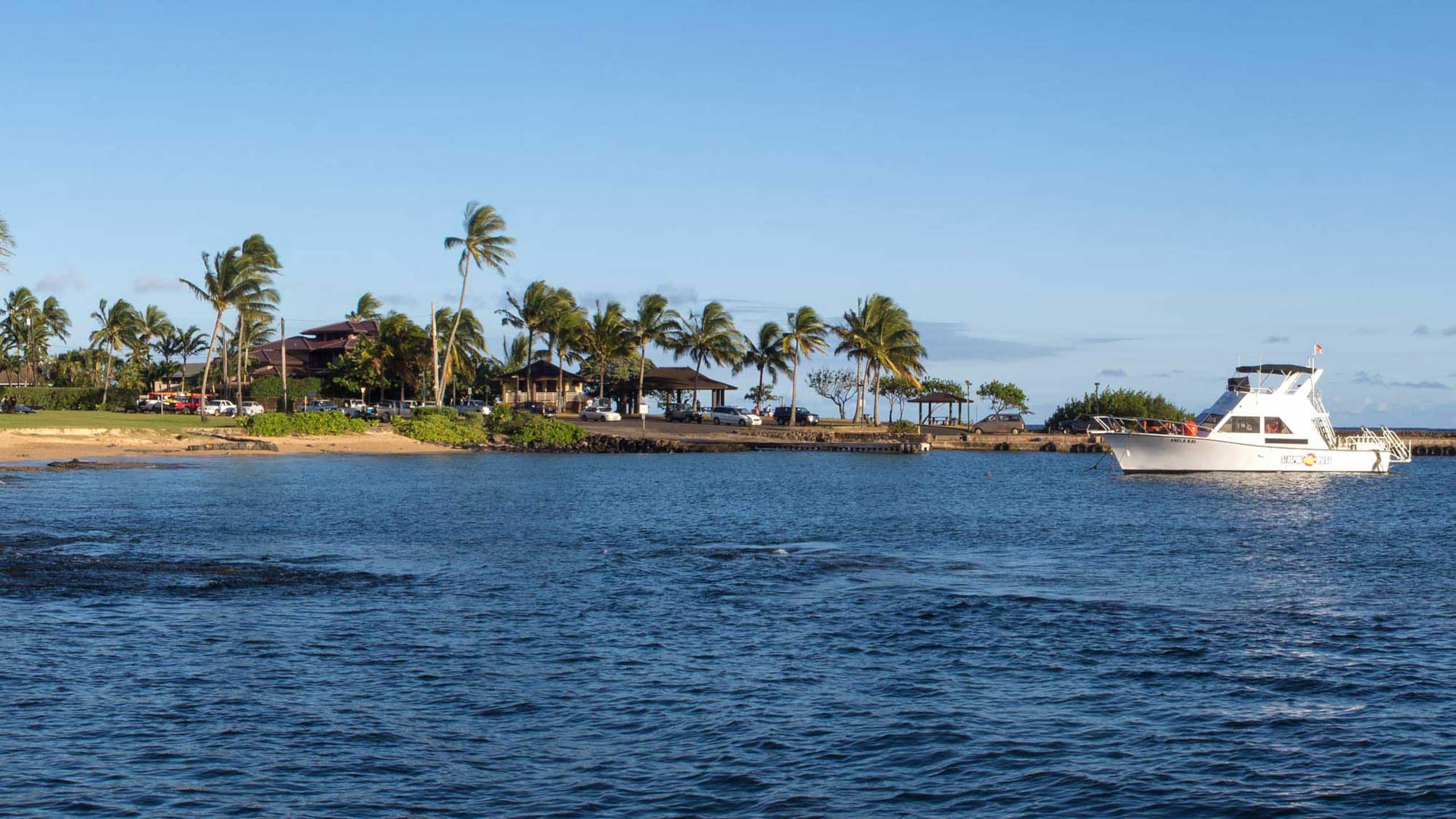 Home in Koloa · ★5.0 · 4 bedrooms · 5 beds · 3.5 baths - Photo 46