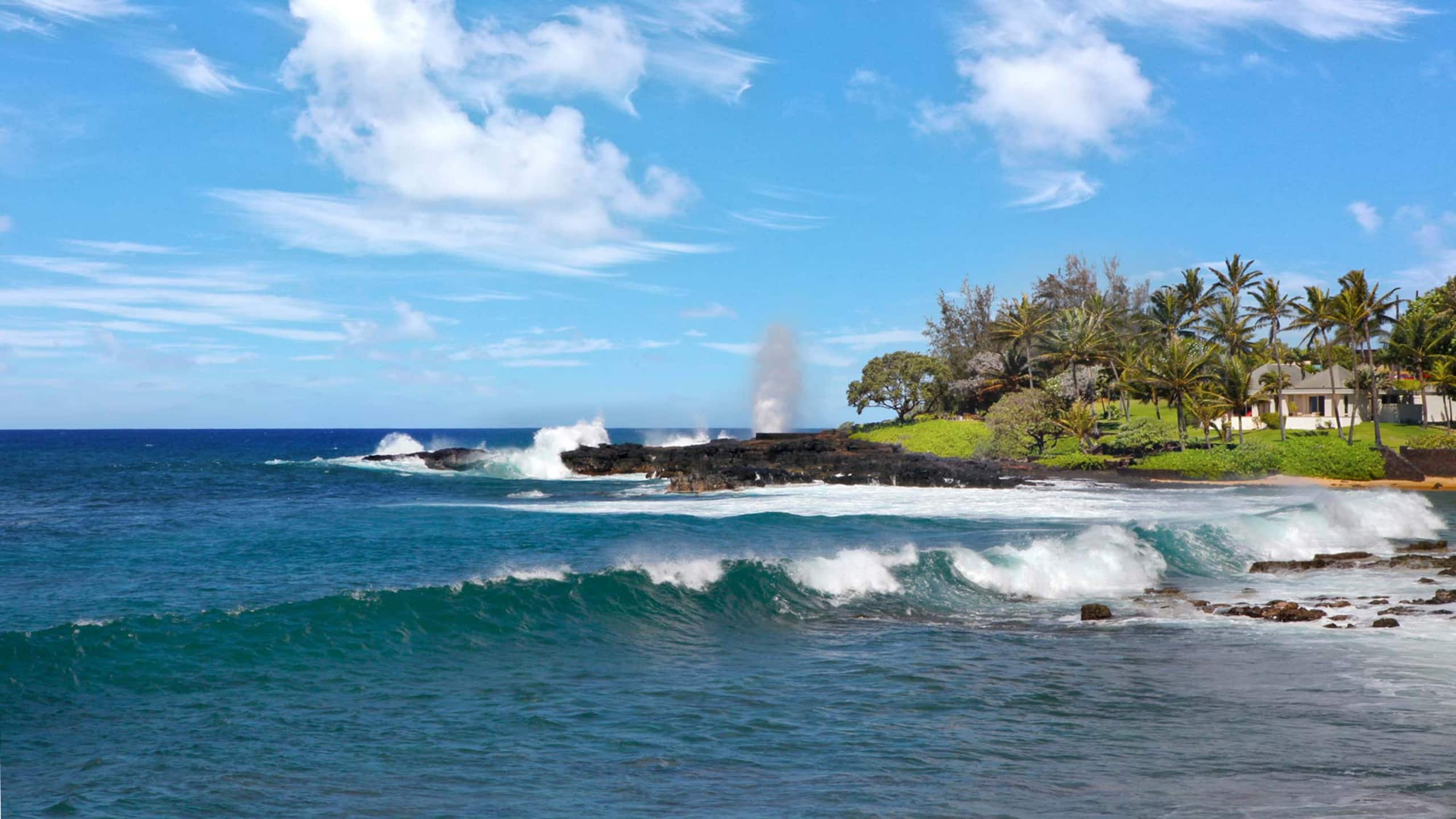 Home in Koloa · ★5.0 · 4 bedrooms · 5 beds · 3.5 baths - Photo 12