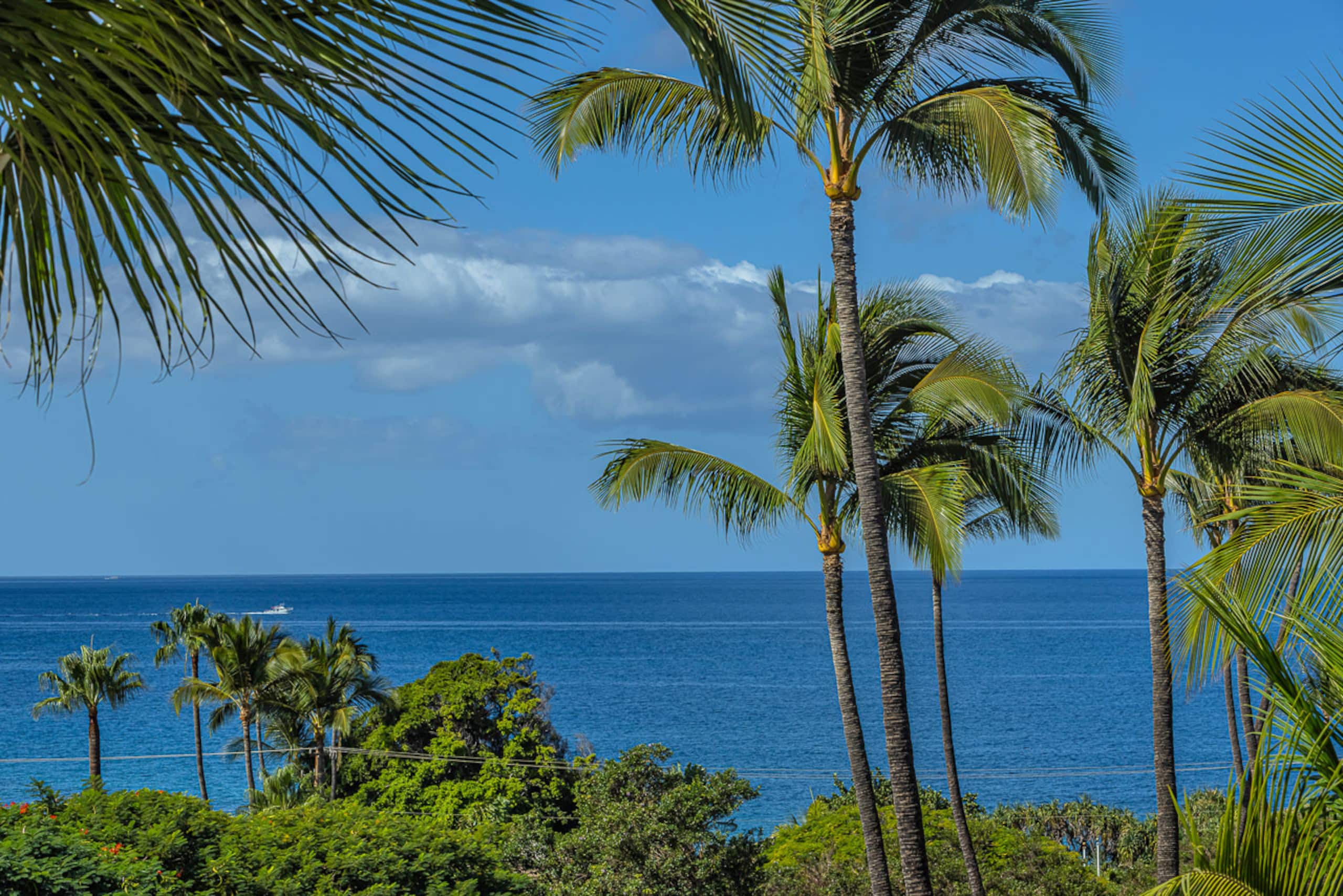 Condo in Kihei · ★5.0 · 1 bedroom · 2 beds · 1 bath - Image 8