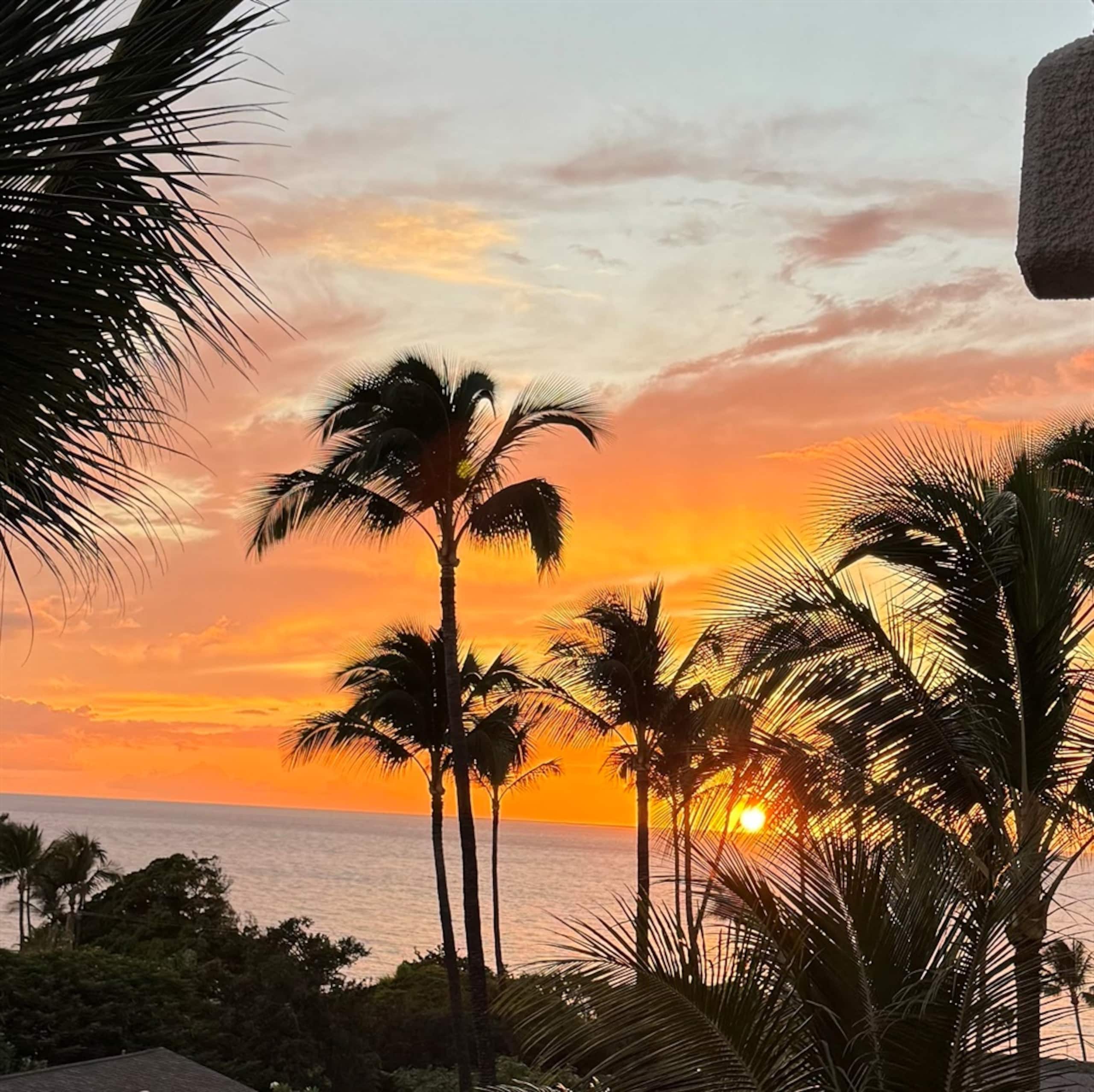 Condo in Kihei · ★5.0 · 1 bedroom · 2 beds · 1 bath - Image 3