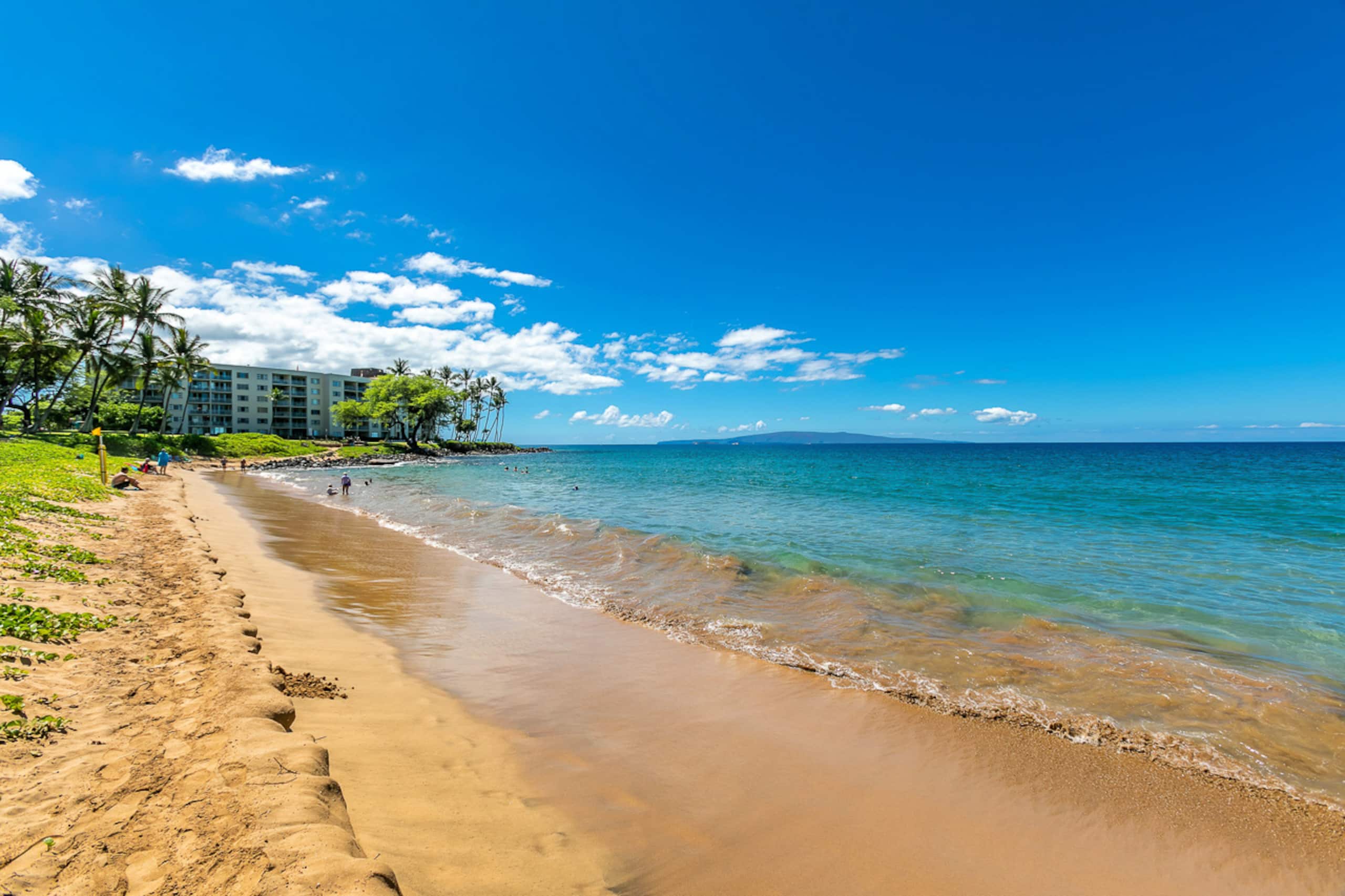 Condo in Kihei · ★5.0 · 1 bedroom · 2 beds · 1 bath - Image 43
