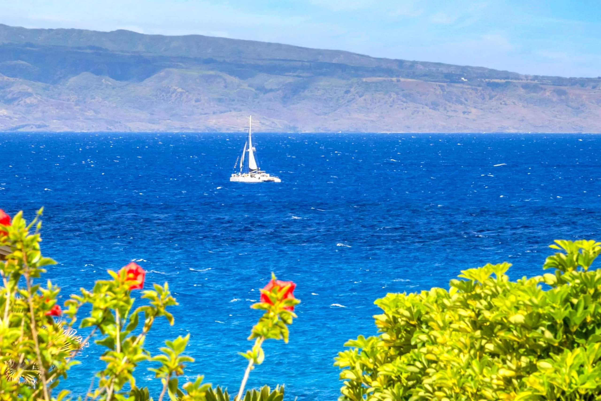 Condo in Lahaina · ★5.0 · 1 bedroom · 2 beds · 2 baths - Image 9