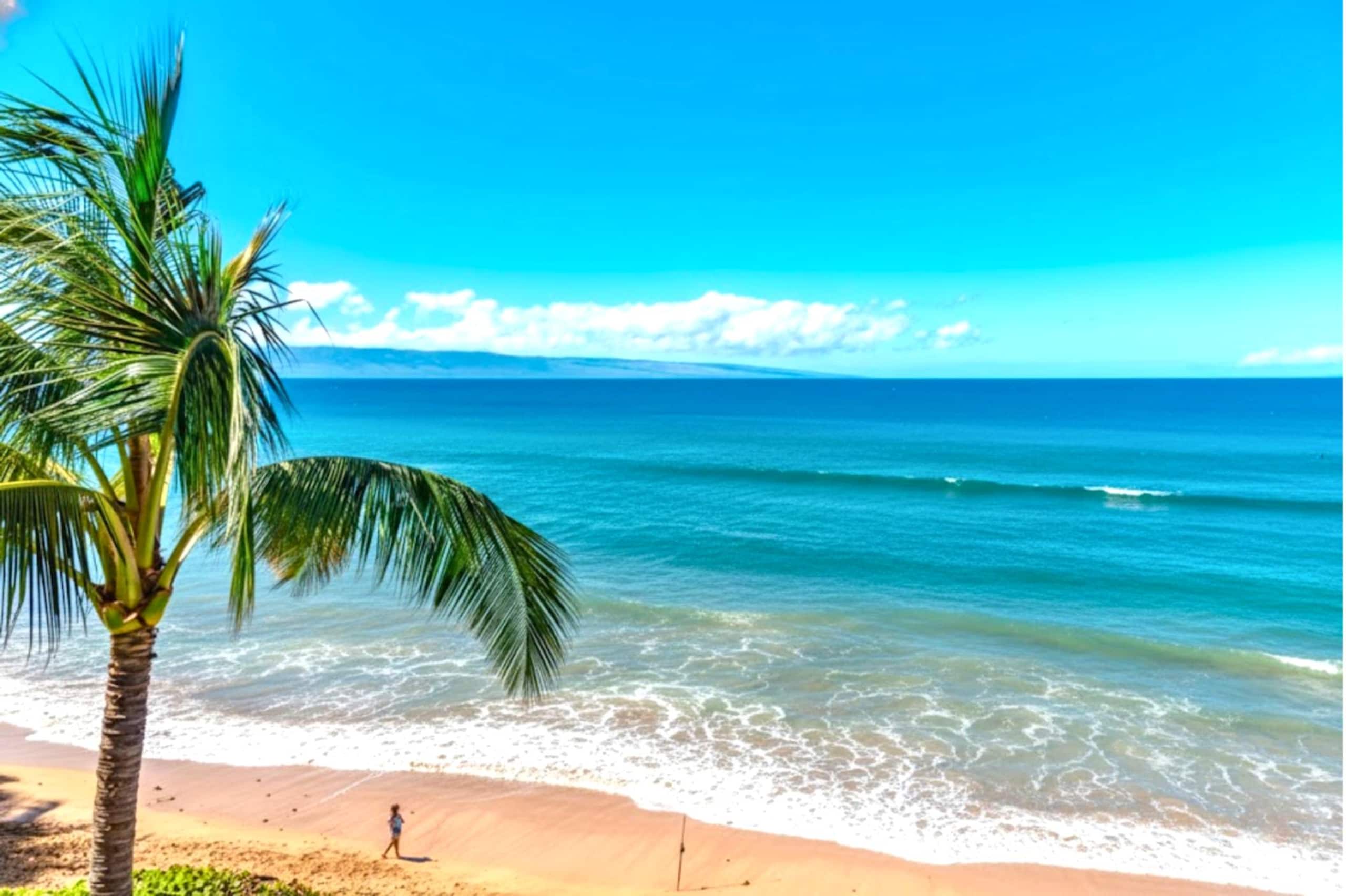 Condo in Lahaina · ★5.0 · 1 bedroom · 2 beds · 2 baths - Image 2