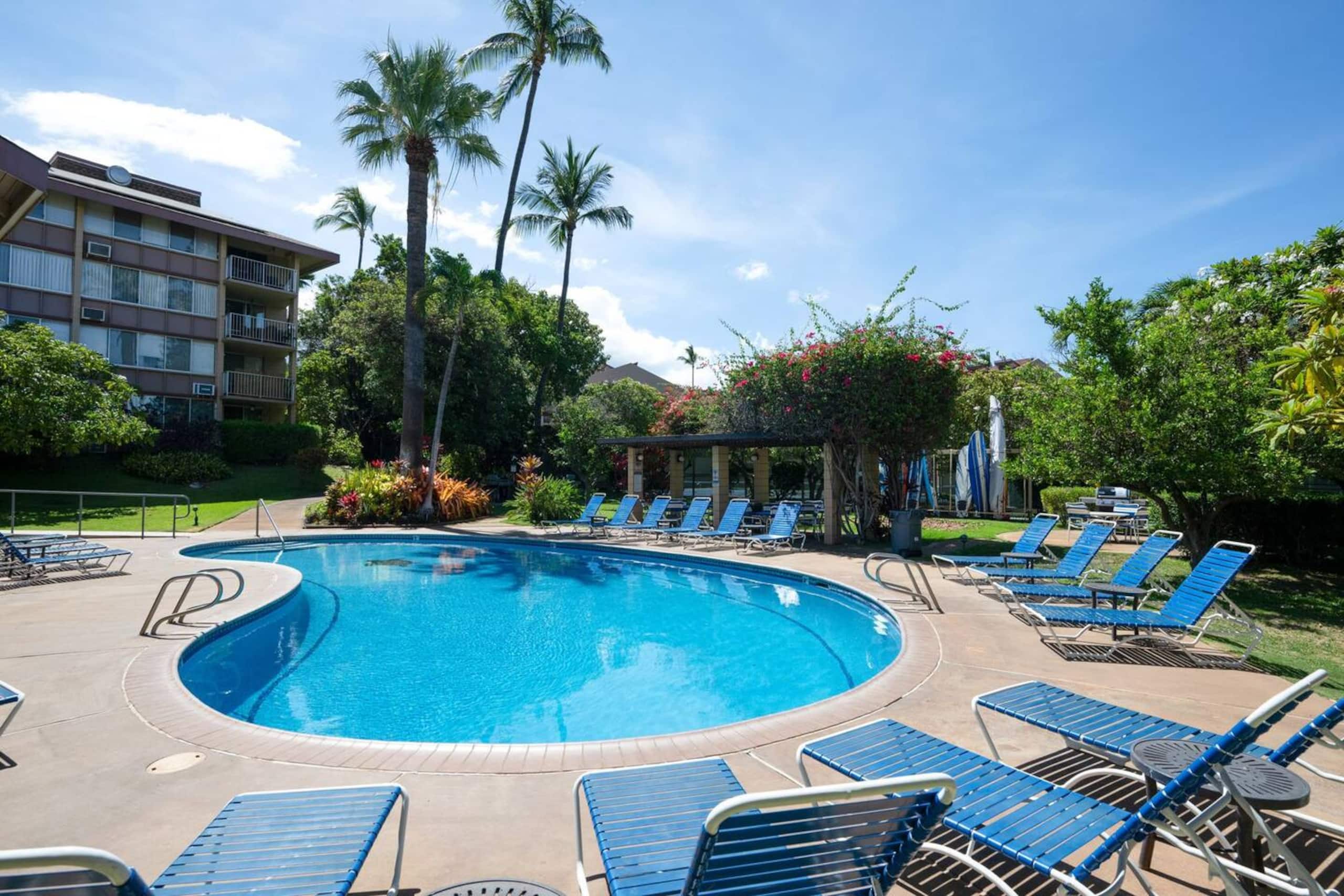 Condo in Kihei · ★5.0 · 2 bedrooms · 2 beds · 2 baths - Image 23