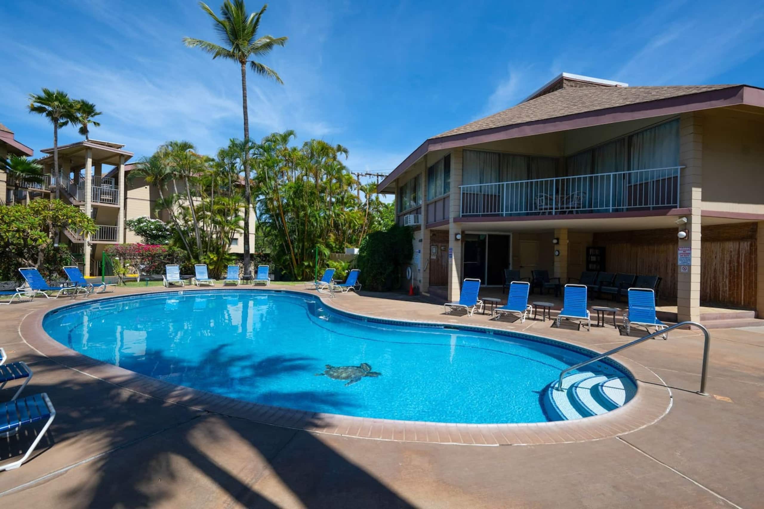 Condo in Kihei · ★5.0 · 2 bedrooms · 2 beds · 2 baths - Image 22