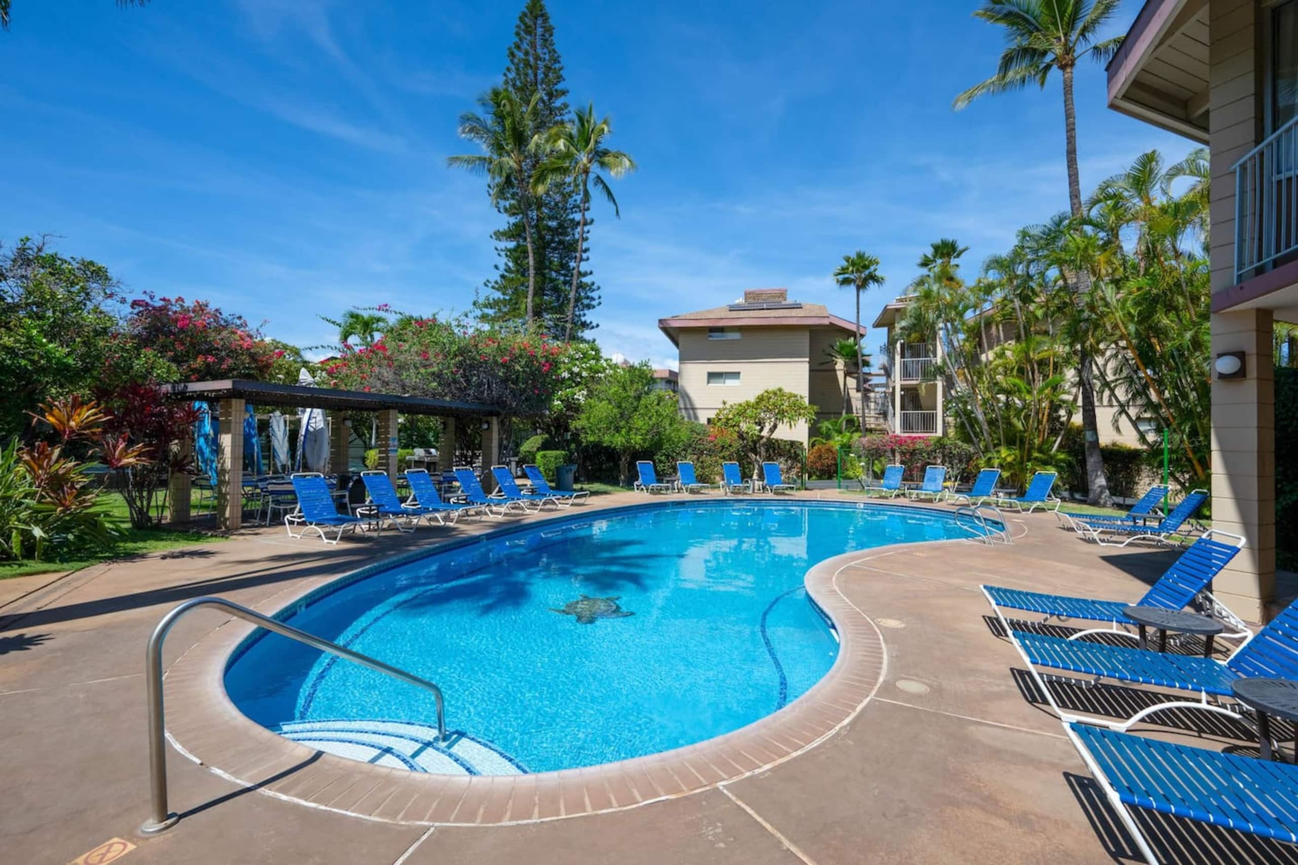 Condo in Kihei · ★5.0 · 2 bedrooms · 2 beds · 2 baths - Image 24