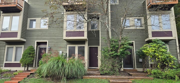 Wooded Wonder - 2 Br Ski-in/ski-out W/ Hot Tub - Deep Creek Lake, MD