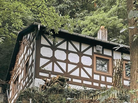 Large forest house St. Martin – sauna, fireplace & nature