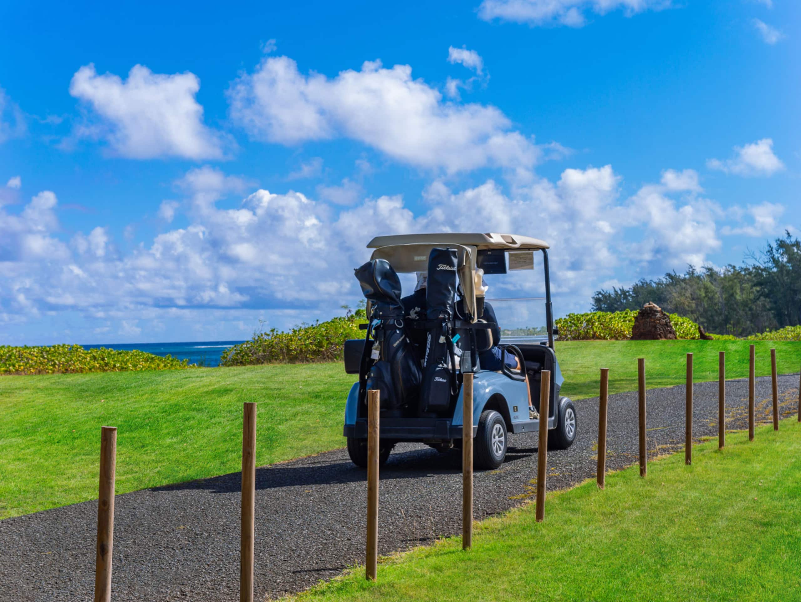 Golf Course Front Kuilima West by Beach w/Parking - Image 45