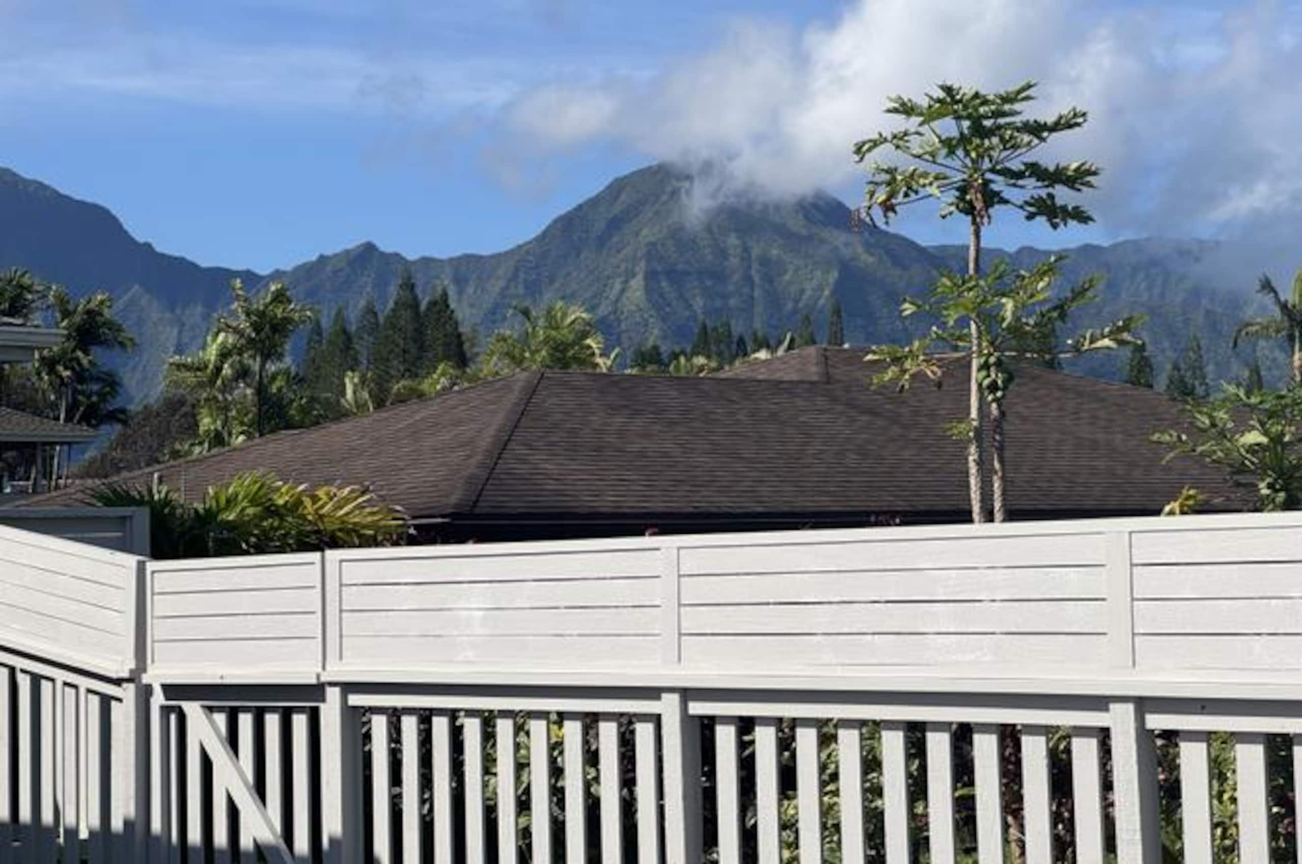 Home in Princeville · ★4.86 · 4 bedrooms · 5 beds · 4 baths - Image 27