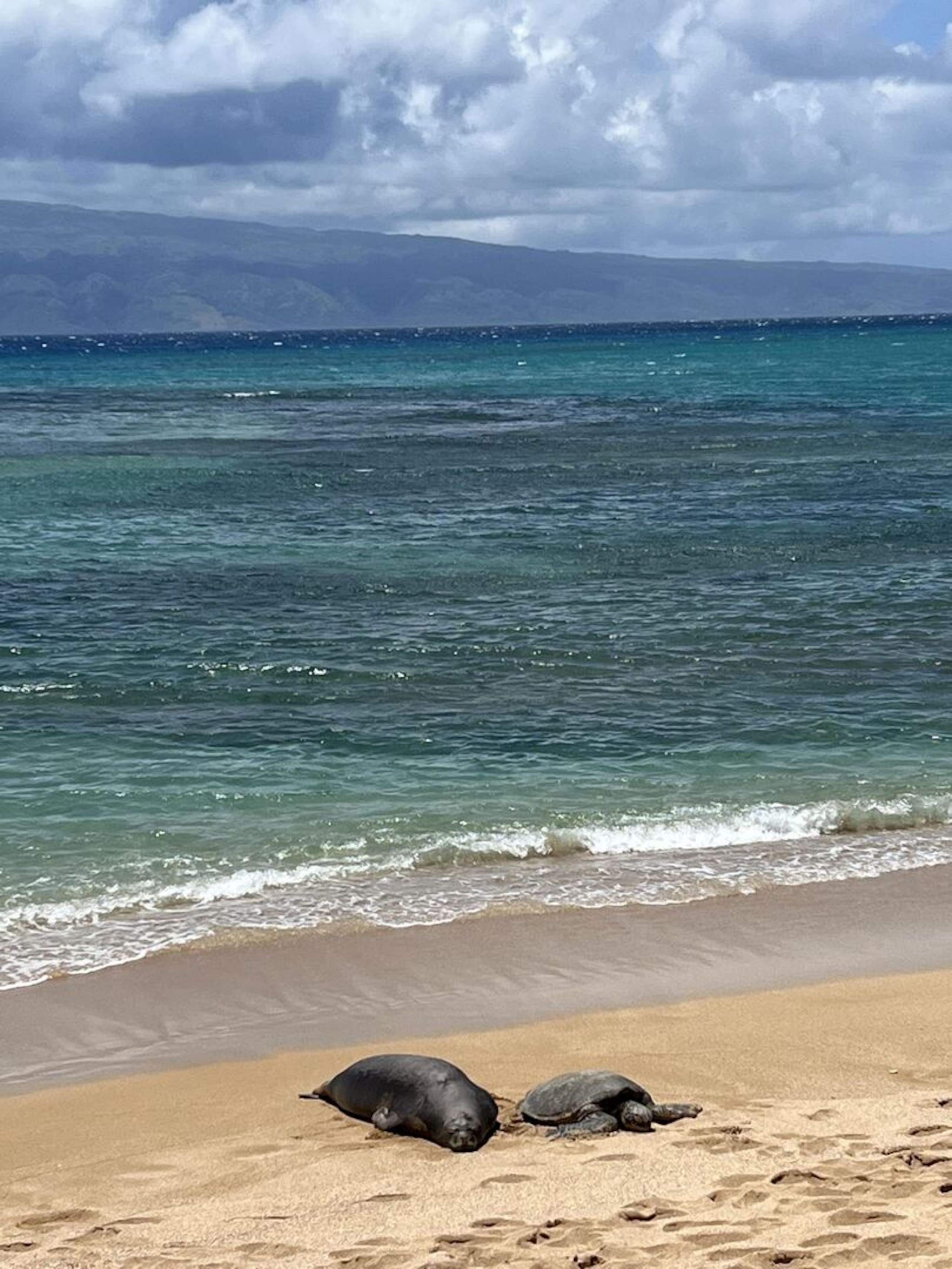 Condo in Lahaina · ★5.0 · 1 bedroom · 2 beds · 1 bath - Image 38