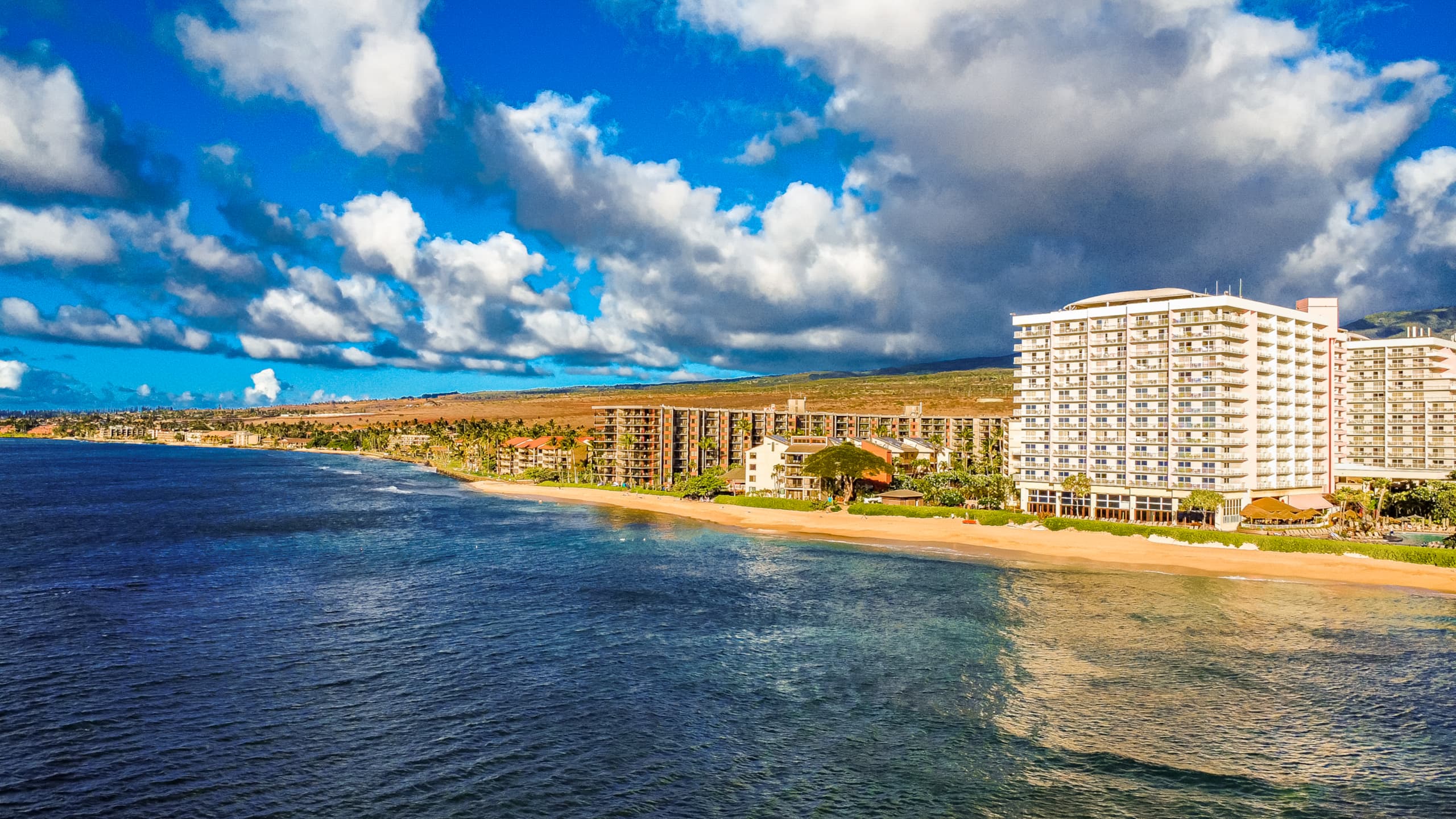 Condo in Lahaina · ★4.97 · 2 bedrooms · 4 beds · 2 baths - Image 28