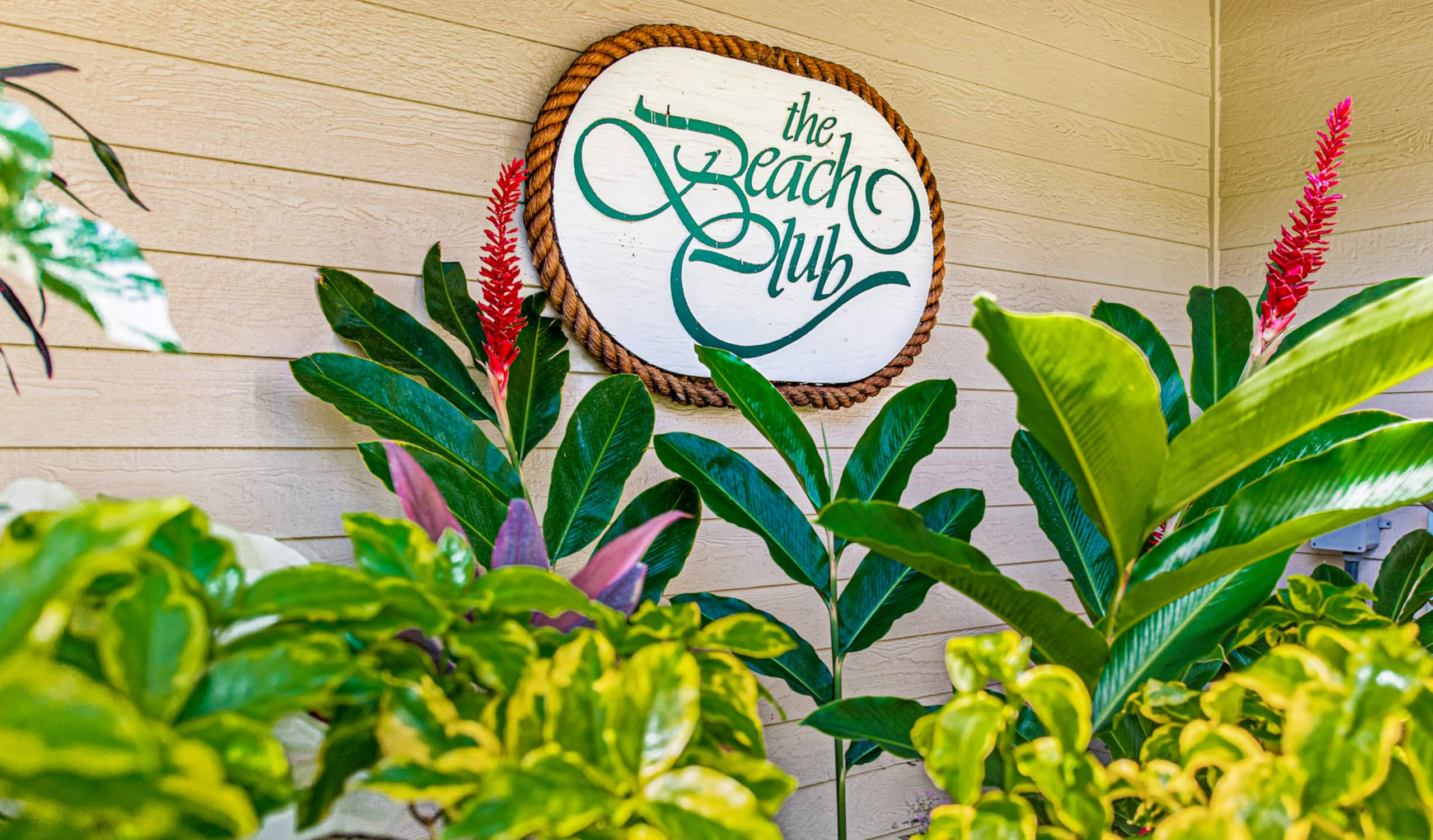 Condo in Lahaina · ★4.97 · 2 bedrooms · 4 beds · 2 baths - Image 36
