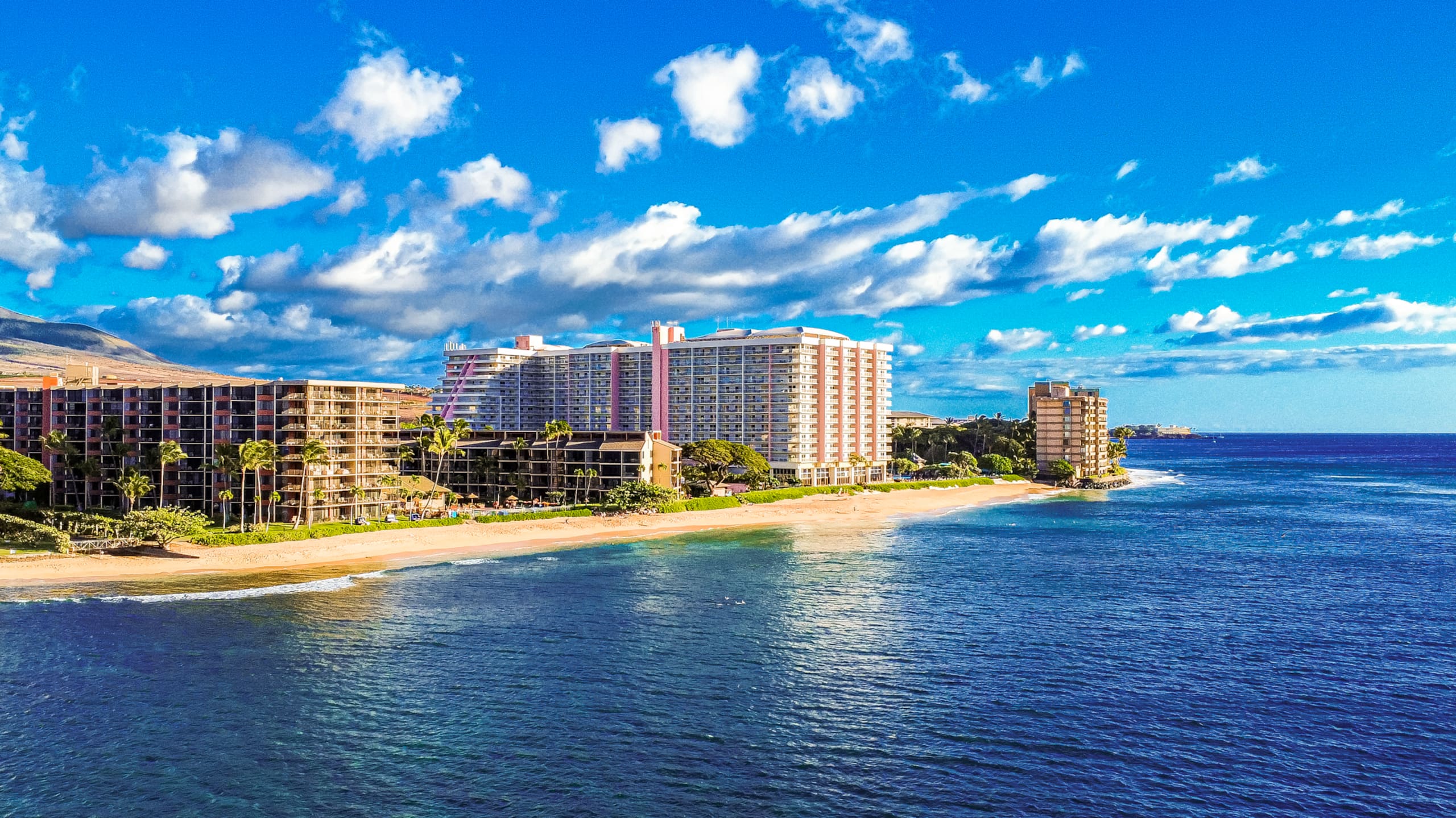 Condo in Lahaina · ★4.97 · 2 bedrooms · 4 beds · 2 baths - Image 38