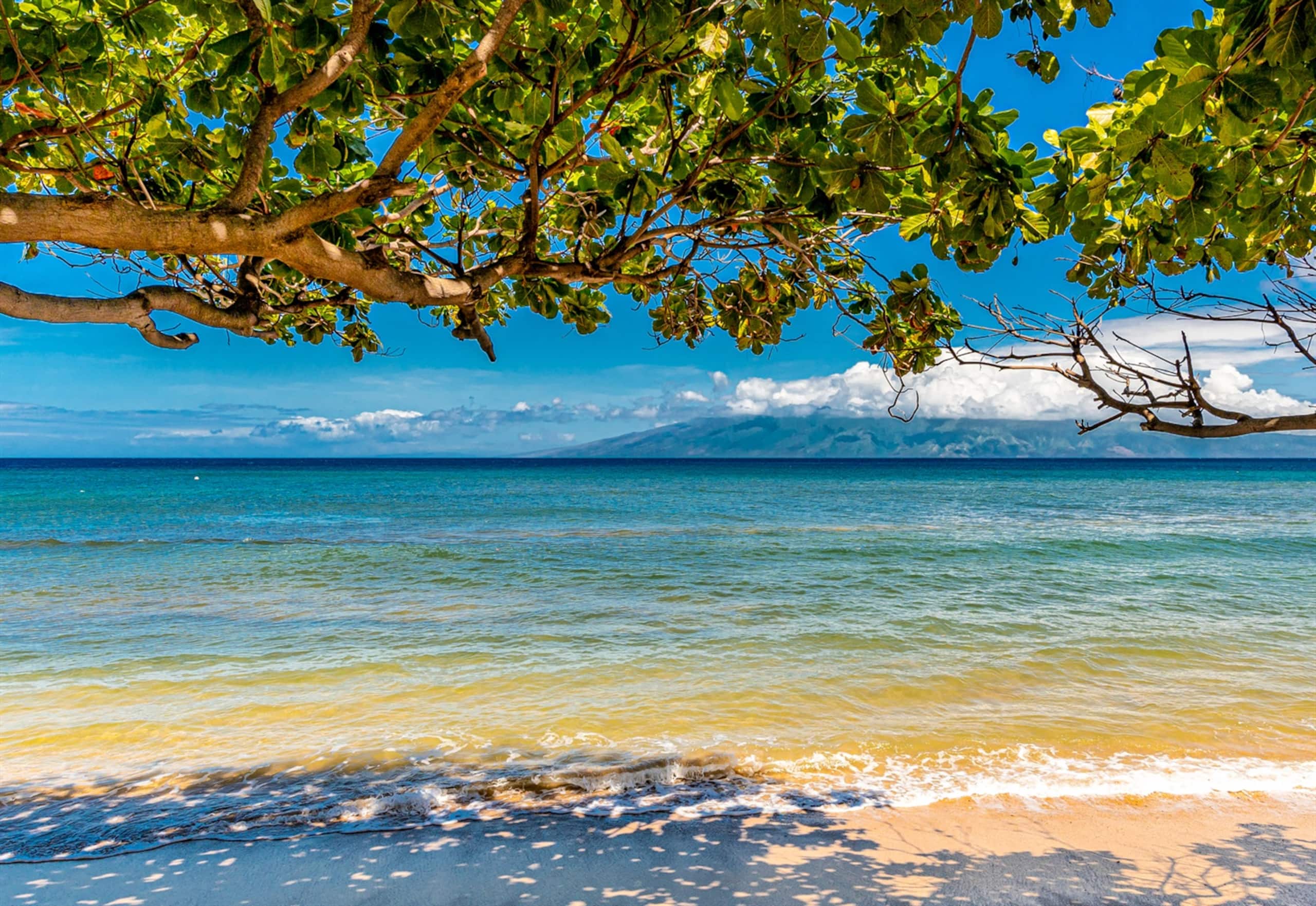 Condo in Lahaina · ★4.97 · 2 bedrooms · 4 beds · 2 baths - Image 2