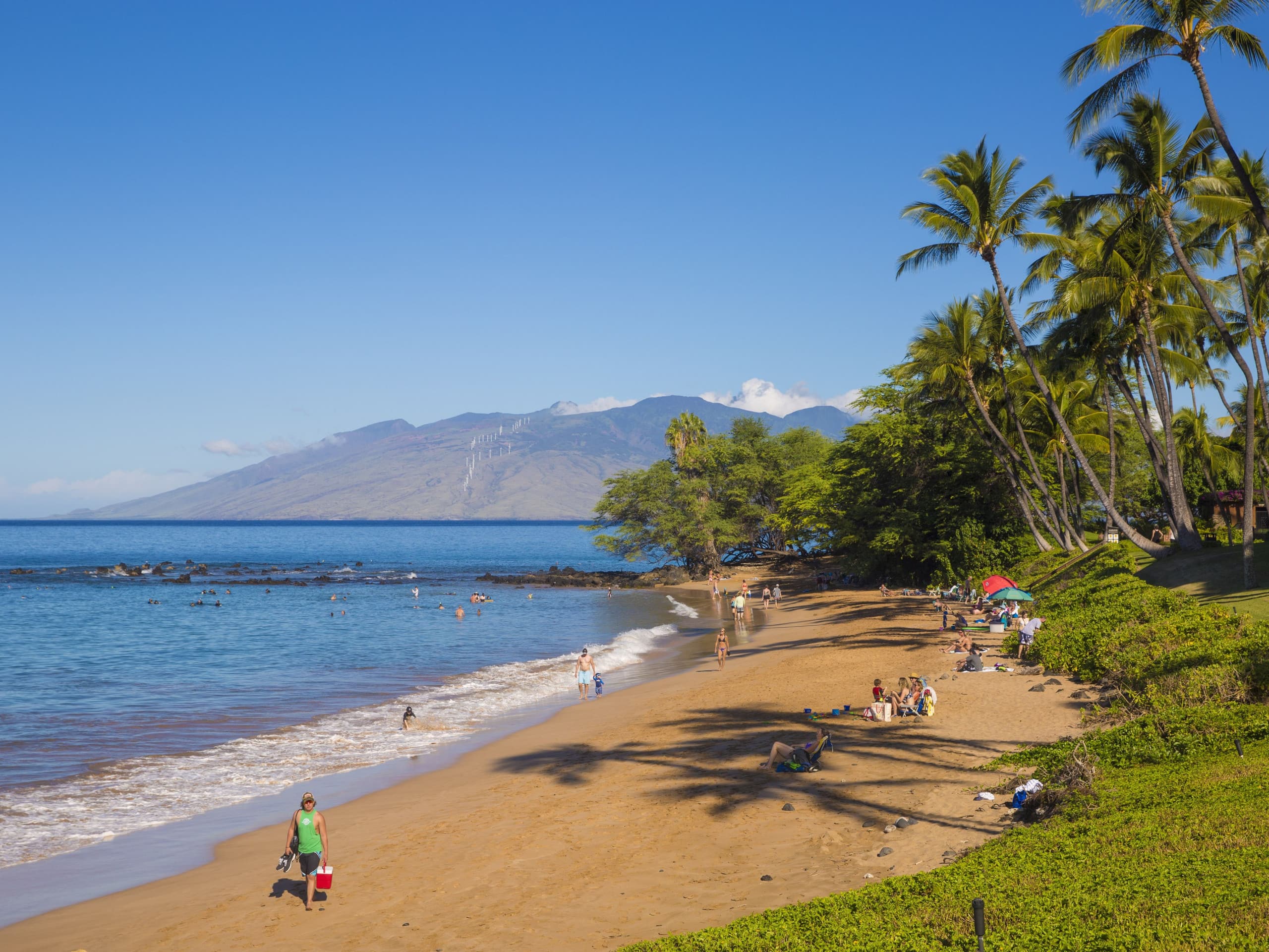 Condo in Wailea · ★5.0 · 2 bedrooms · 3 beds · 2 baths - Image 43