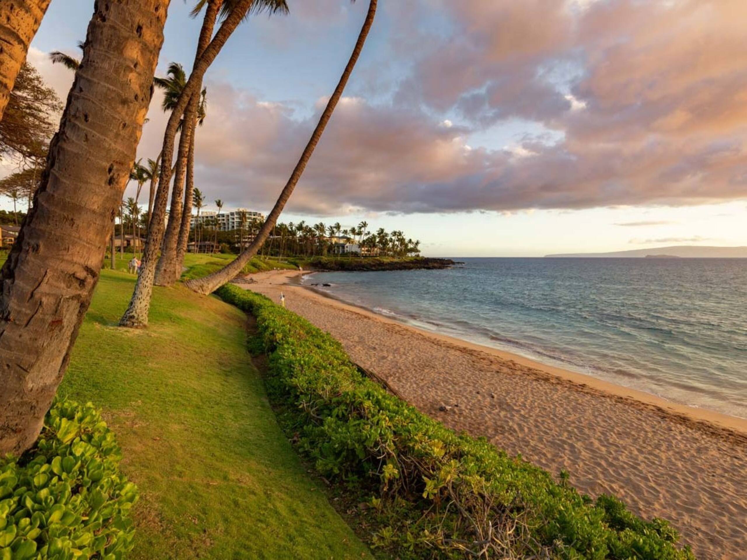 Condo in Wailea · ★5.0 · 1 bedroom · 2 beds · 1 bath - Image 41