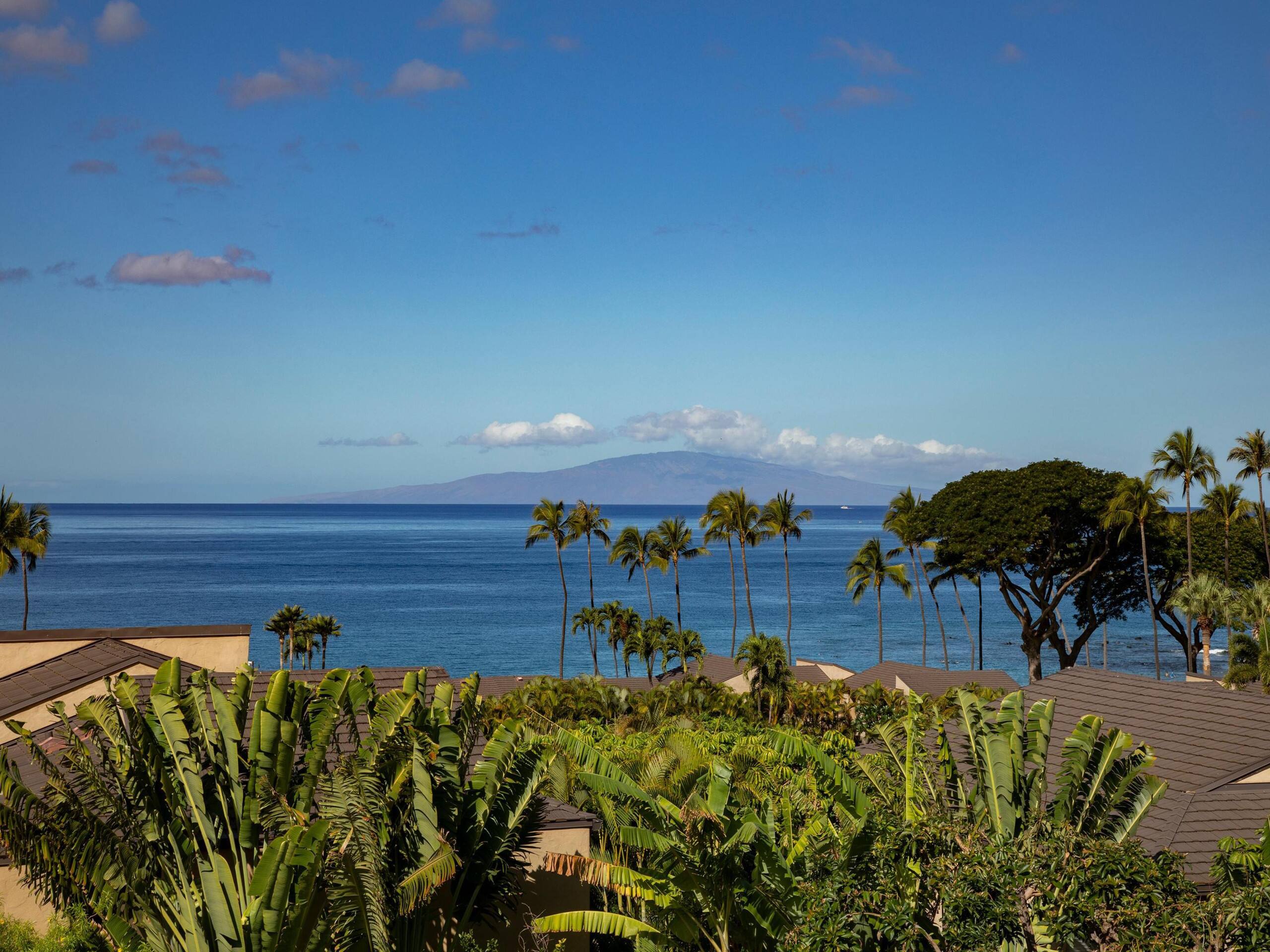 Condo in Wailea · ★5.0 · 2 bedrooms · 4 beds · 2 baths - Image 2