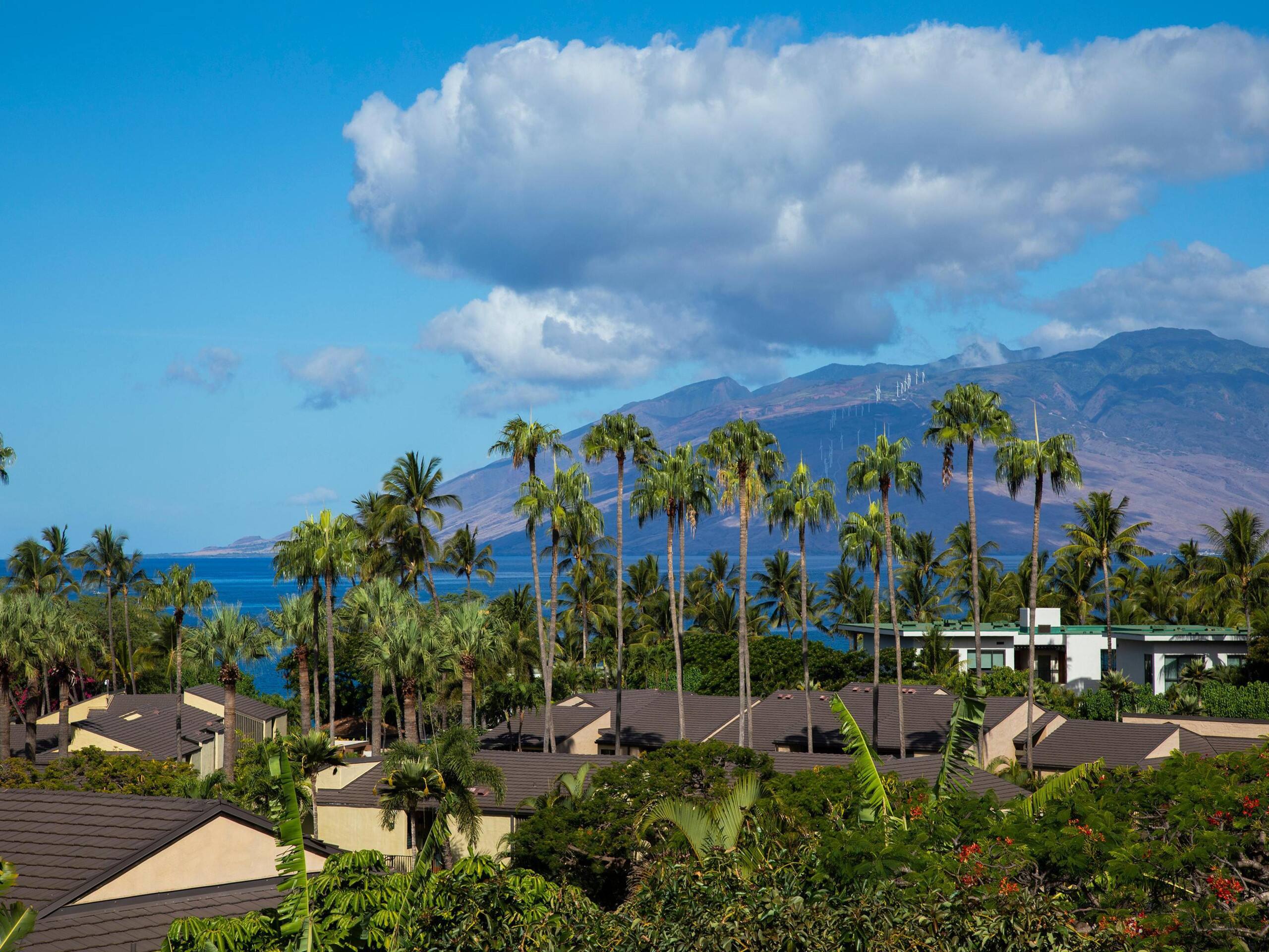 Condo in Wailea · ★5.0 · 2 bedrooms · 4 beds · 2 baths - Image 12