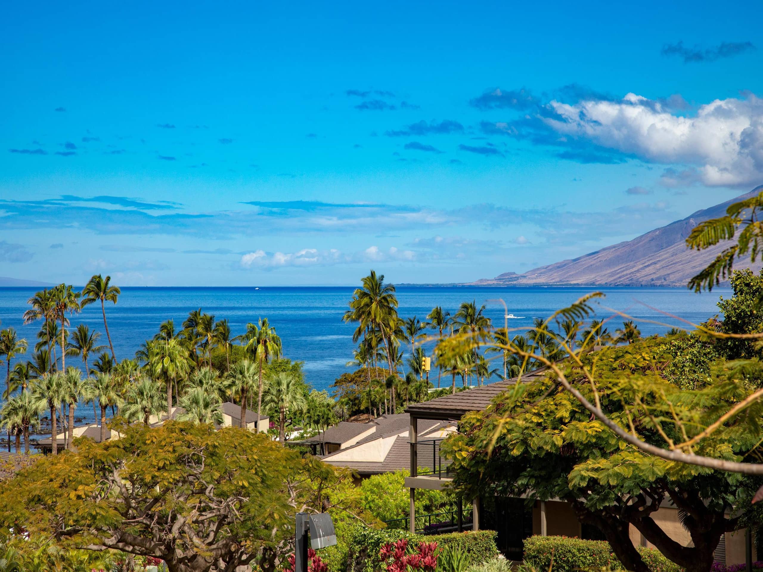 Condo in Wailea · ★4.92 · 1 bedroom · 3 beds · 2 baths - Image 1