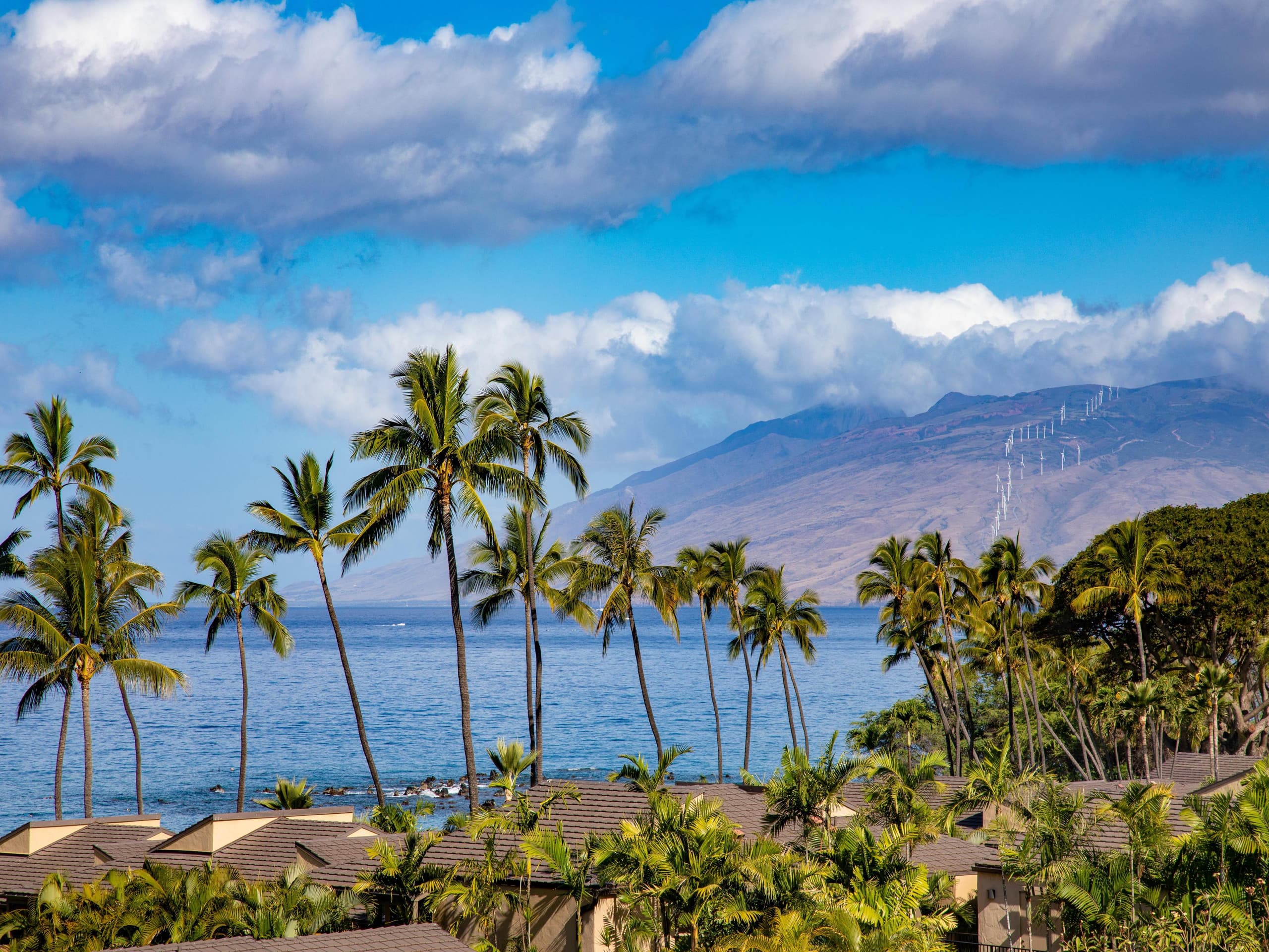 Condo in Wailea · ★5.0 · 1 bedroom · 2 beds · 2 baths - Image 9