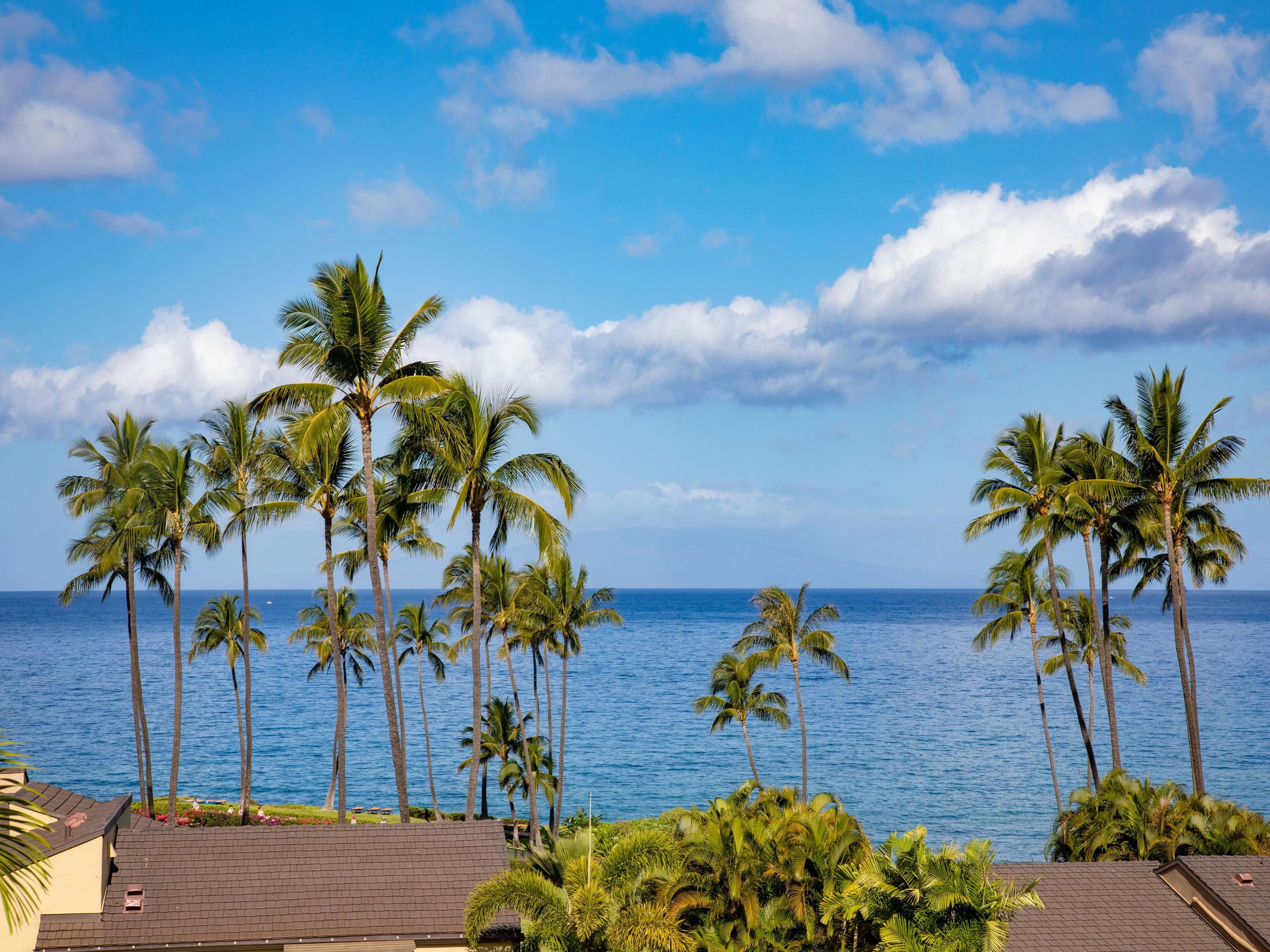 Condo in Wailea · ★5.0 · 1 bedroom · 2 beds · 2 baths - Image 10