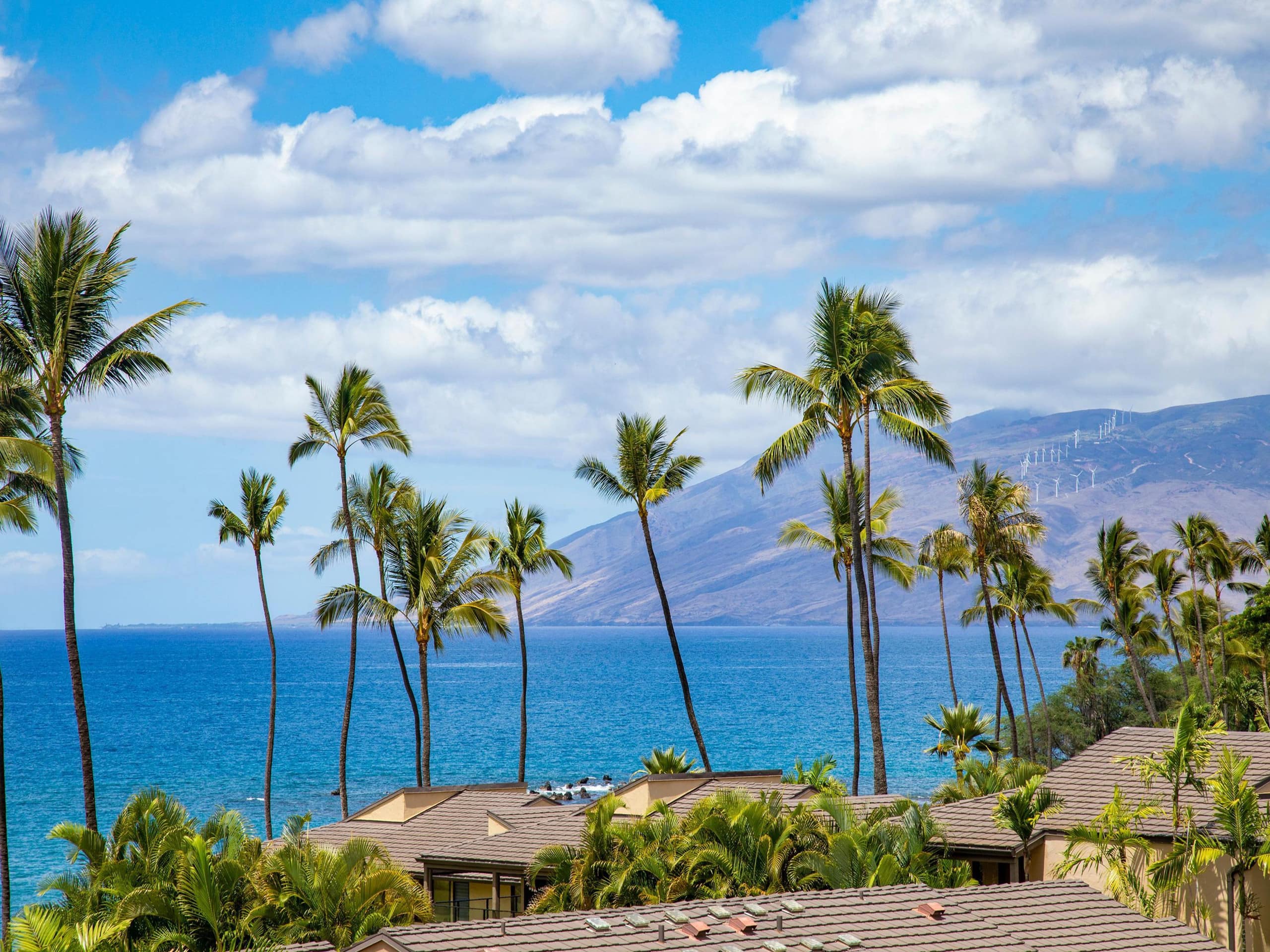 Condo in Wailea · ★5.0 · 2 bedrooms · 3 beds · 2 baths - Image 3